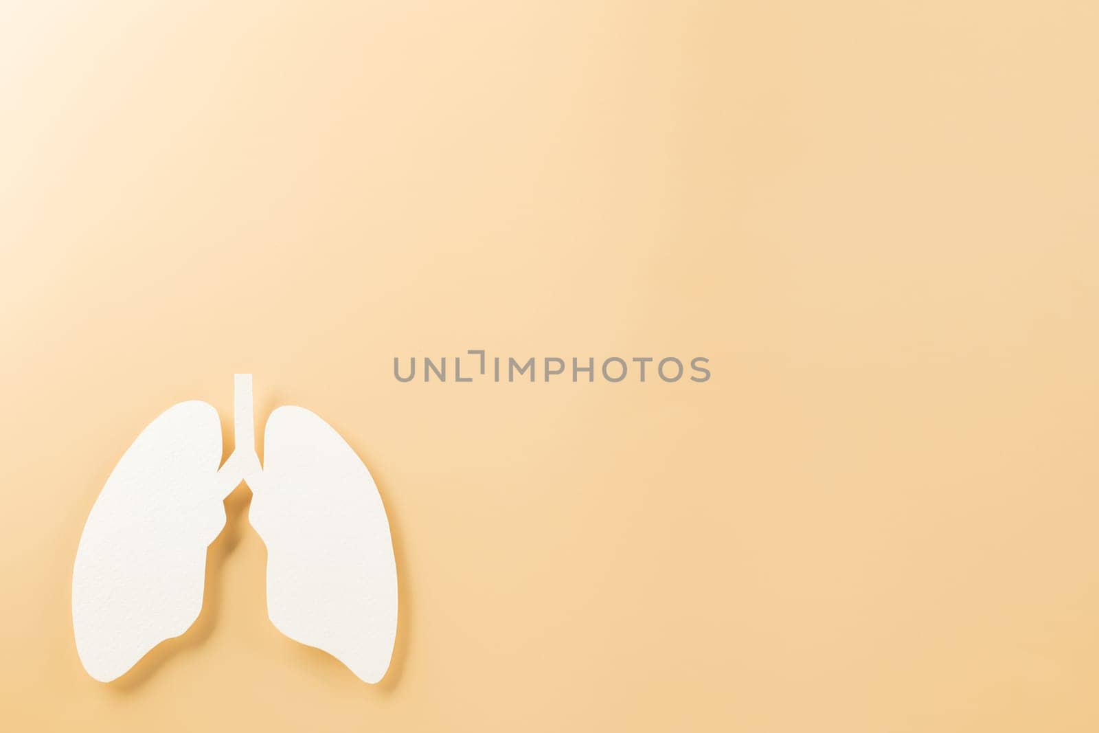 World tuberculosis day. Lungs paper cutting decorative symbol on pastel background, copy space, concept of world TB day, no tobacco, banner background, respiratory, lung cancer awareness, 24 March