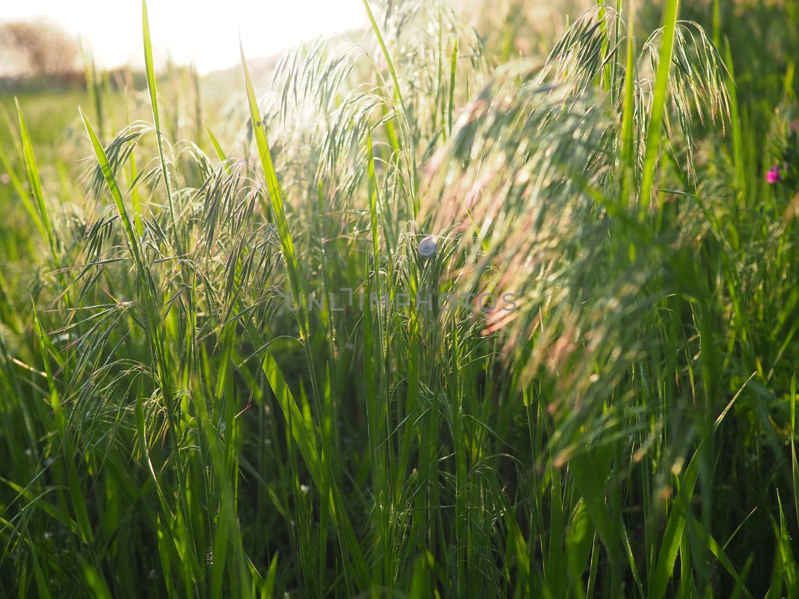 Spectacular view of green rural land and cultivated fields. Europe. Ecology concept. Photo wallpaper. Abstract natural pattern. Beauty of earth.