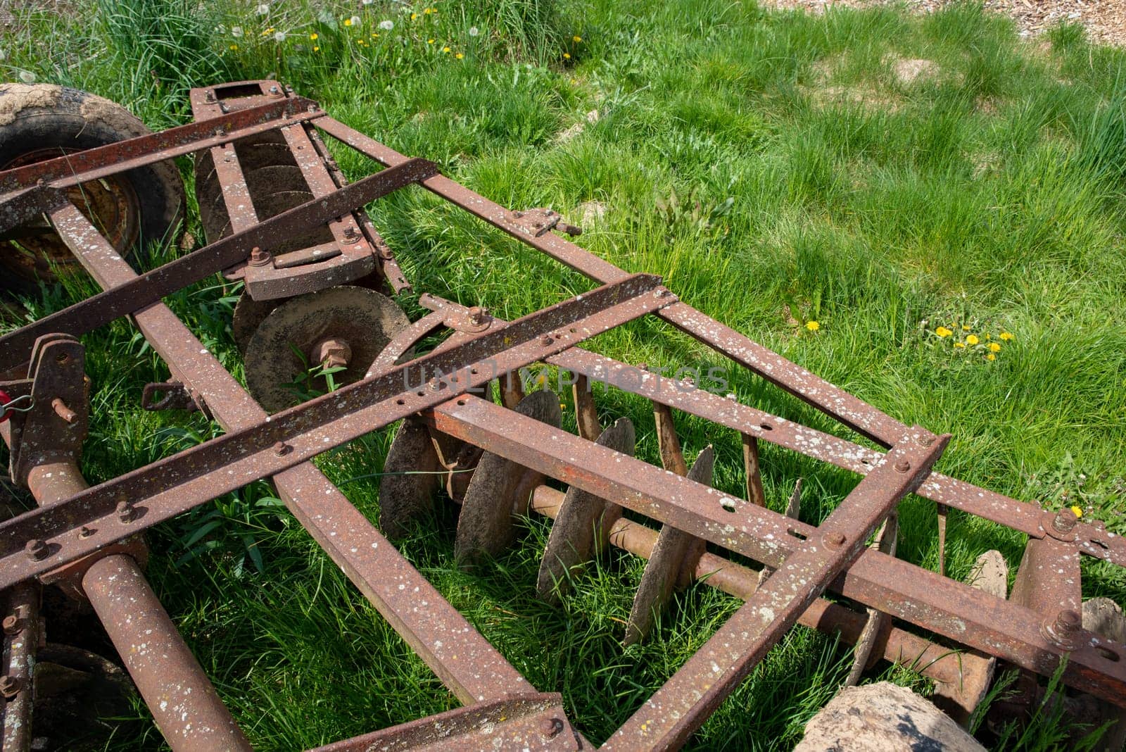 Old metal harrow in a green grass field with dandelions in the bright sunshine. Rows of muddy discs are visible on vintage traditional equipment. copy pace and no people.