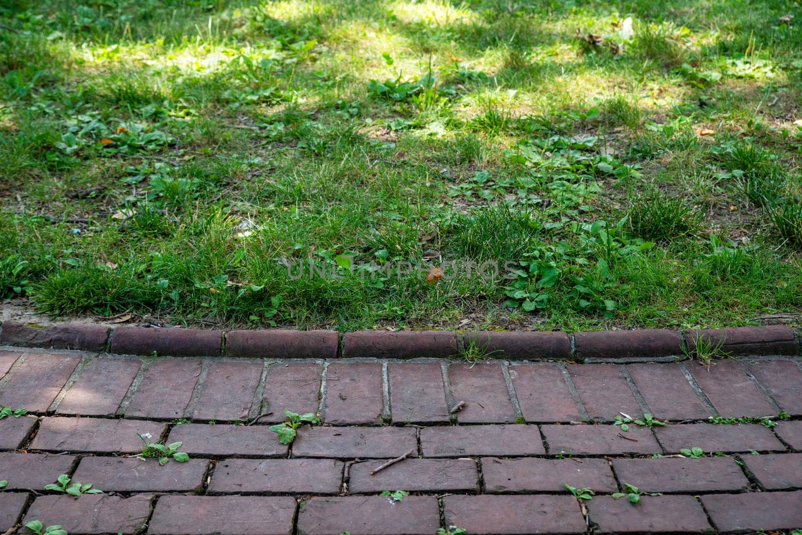 Colonial Philadelphia red brick walkway sidewalk and green grass background on a sunny day. No people, with copy space.