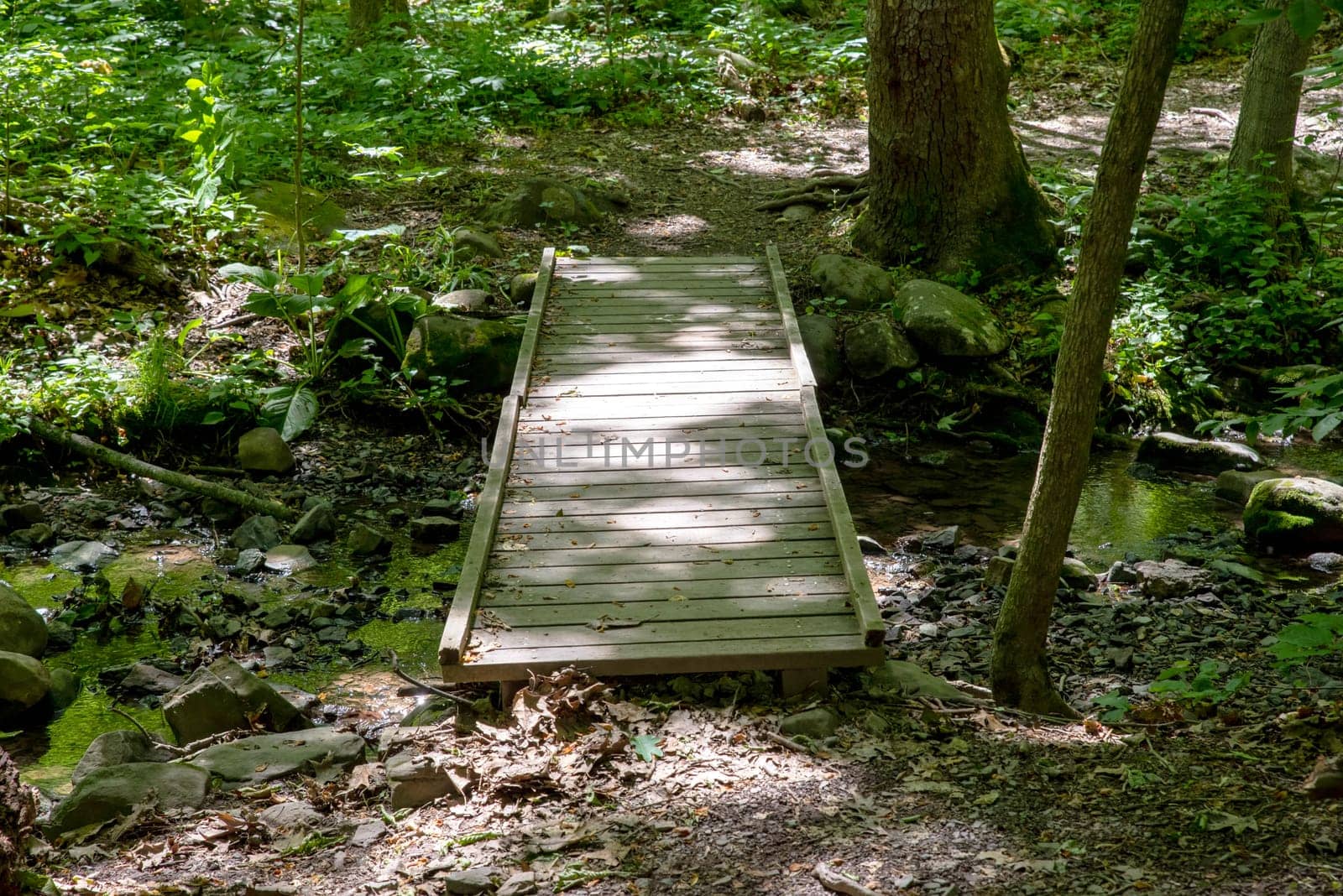 Dappled sunlight on a wooden bridge across a woodland stream on a secluded hiking trail with trees and rocks, and green foliage reflected in water surface. No people, super journey concept image with copy space and no people.