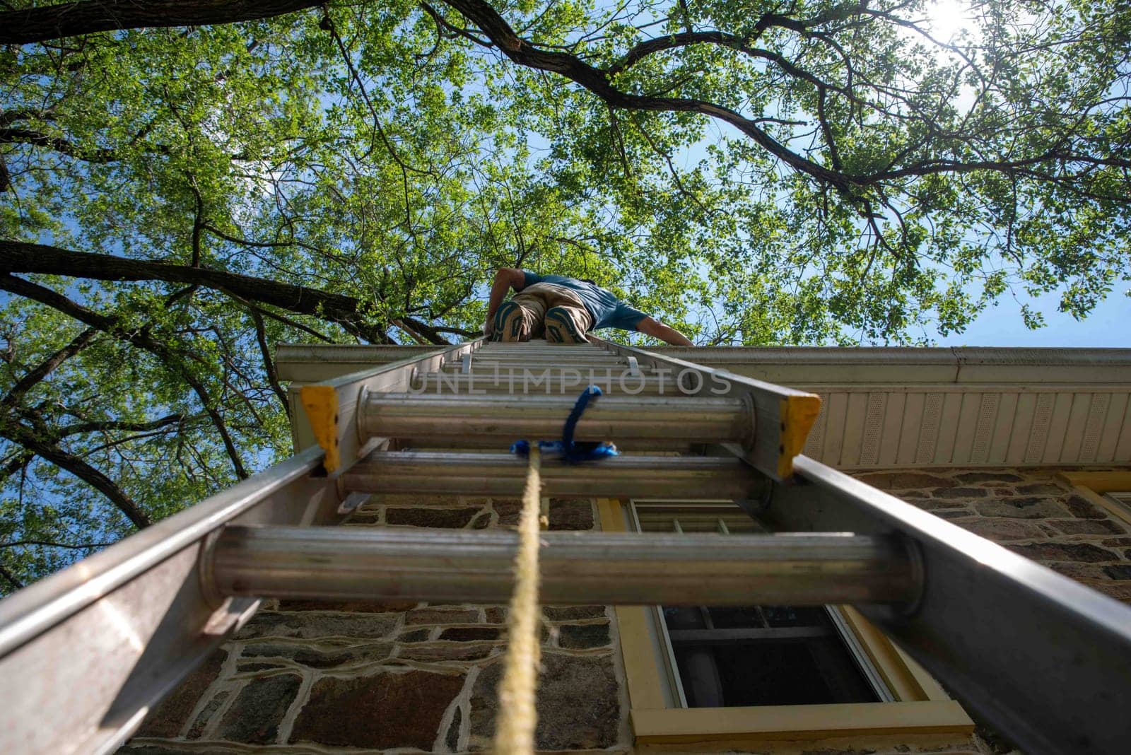 Low angle view of man on ladder cleaning gutters of old stone home with large leafy branches overhead, blue sky and clouds. Architectural features visible and one window.