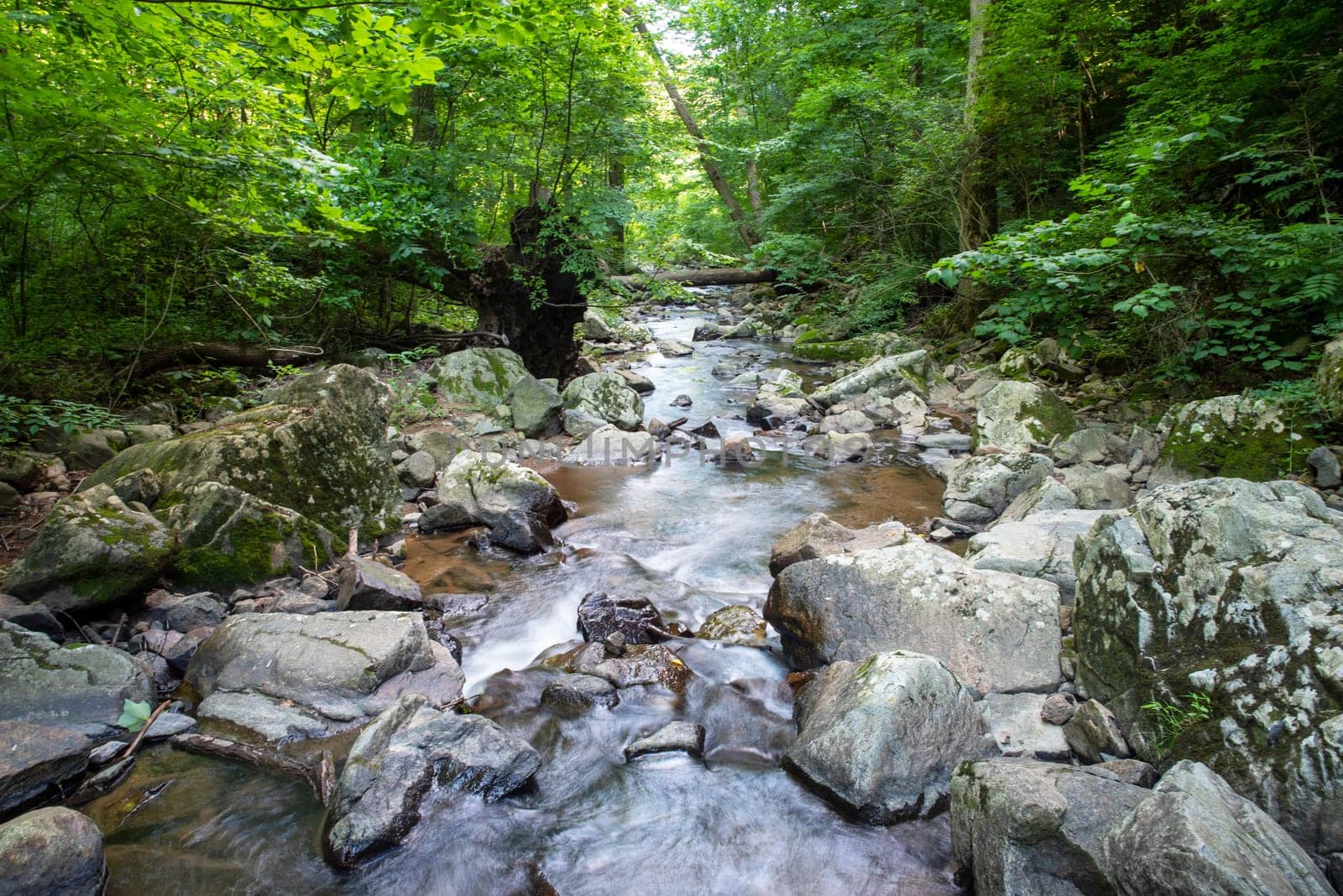 Green woodland nature background with fallen tree footbridge. Large  gray stones and water flowing away from the camera positioned in the center of a flowing stream surrounded by lush idyllic woodland. Natural light with no people, and copy space.