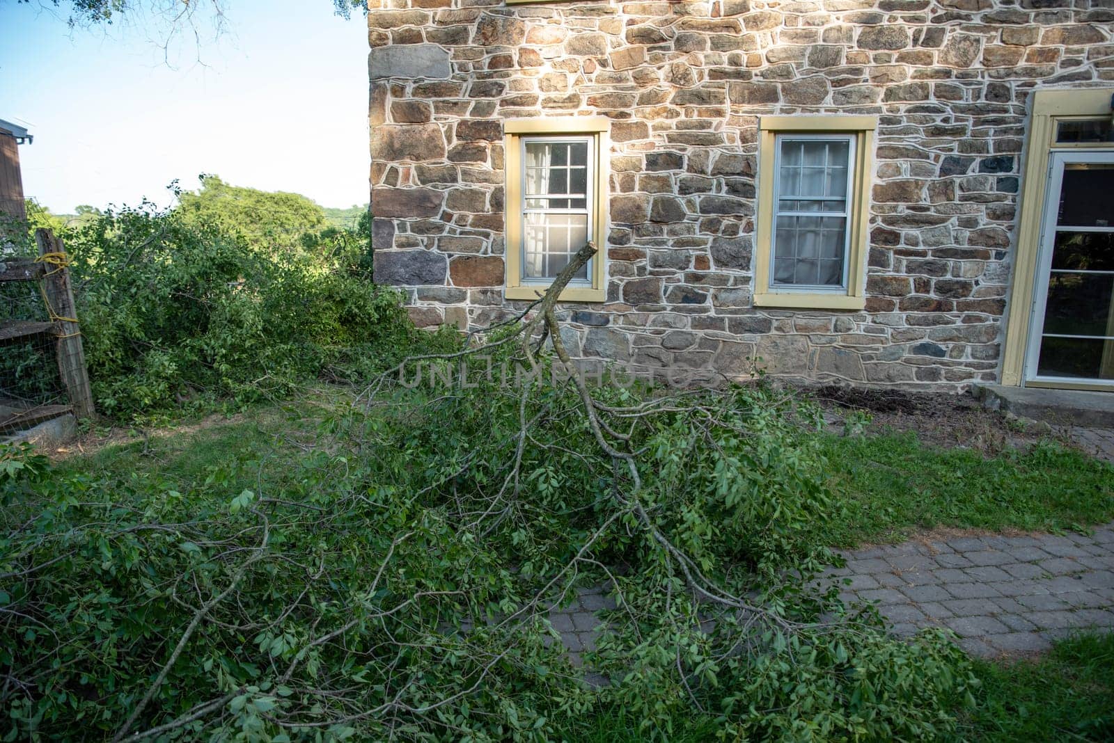 Cut fallen tree branches lay in the yard with a stone farmhouse background with windows and door visible, no people, and copy space.