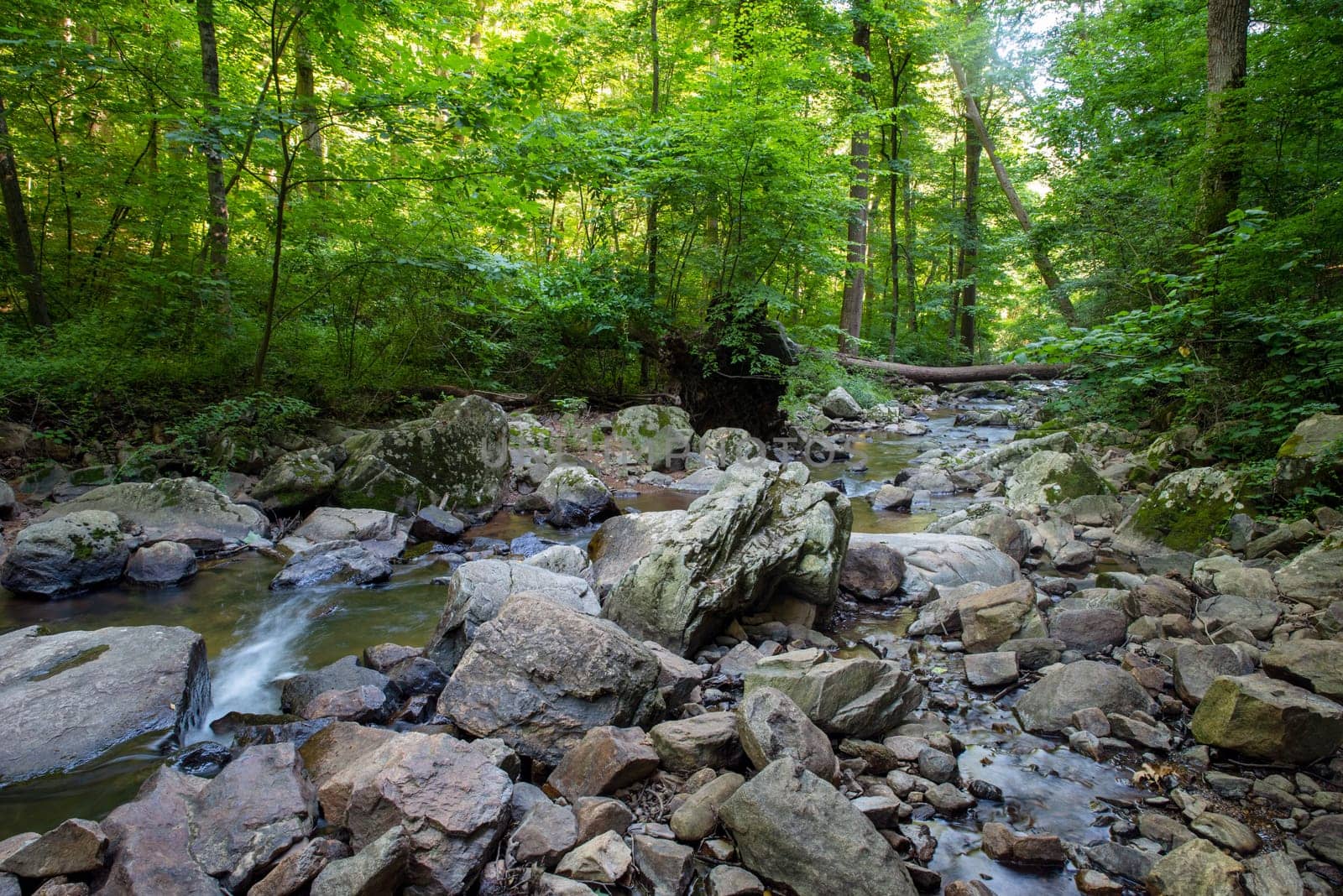 Green woodland nature background with large  gray stones and water flowing away from the camera in a stream with a fallen tree footbridge in background. Shot with long exposure photography. Natural light with no people and copy space.
