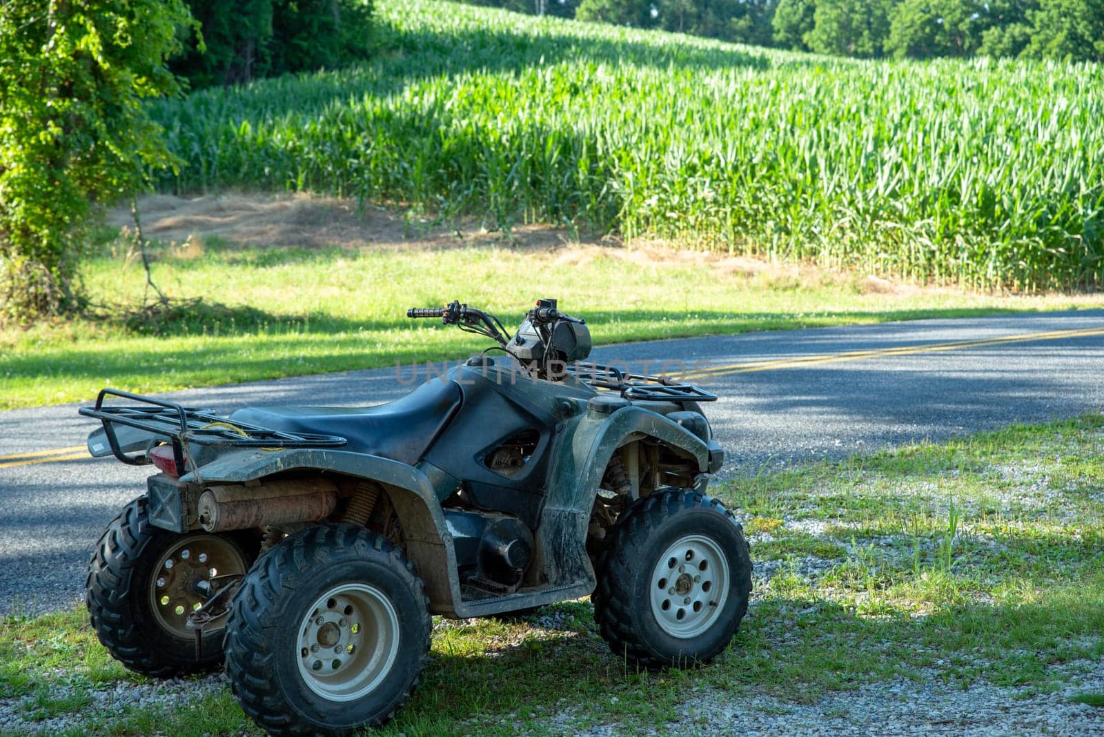 Farm vehicle sits by an agricultural field planted with corn row crops in natural golden hour sunlight with no people and copy space.