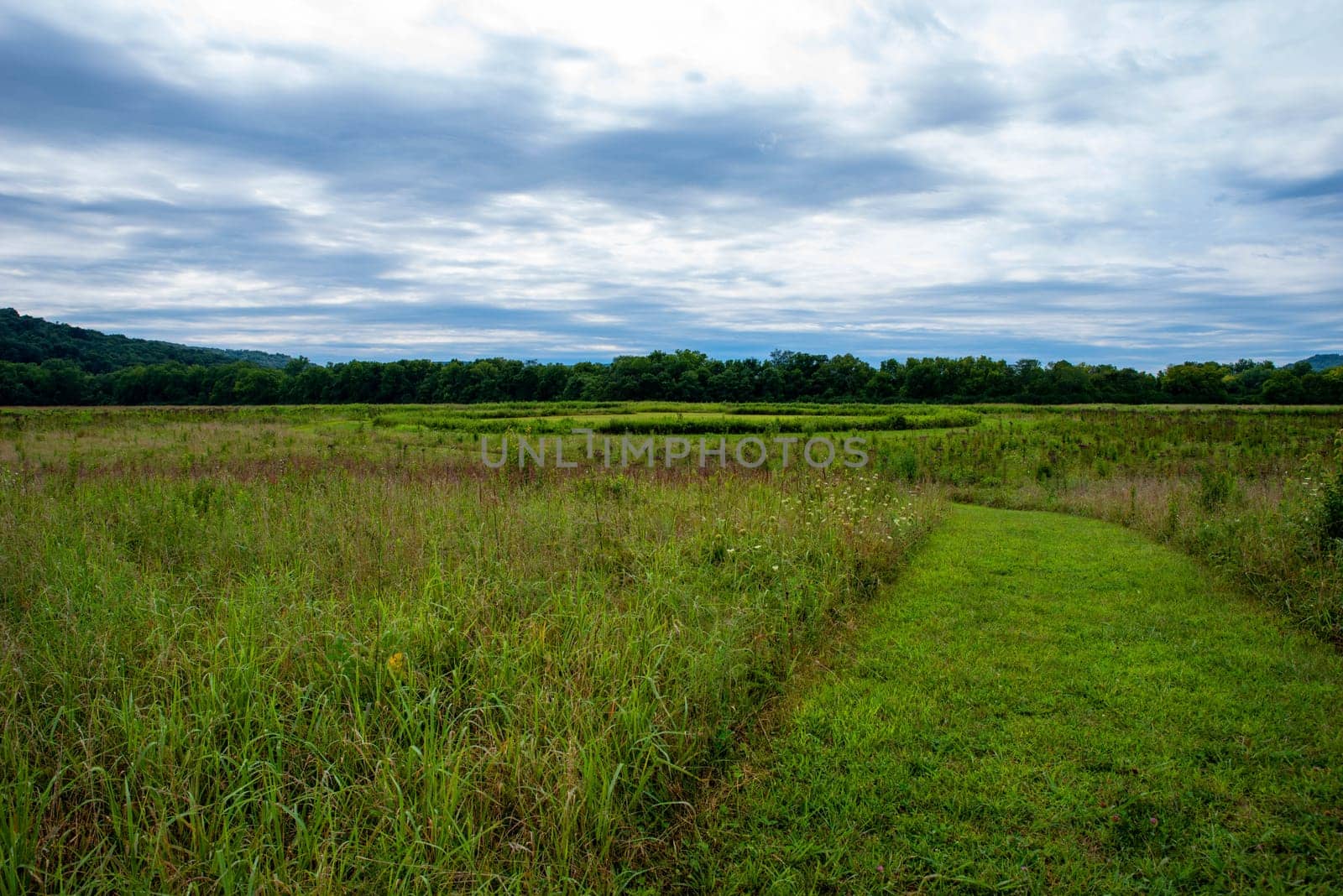 A dramatic sky with clouds over a wildflower meadow field with circular earthworks ring in the background. Path curves left and is neatly cut with tall plants on either side. Idyllic journey concept. Siep Earthworks Ohio