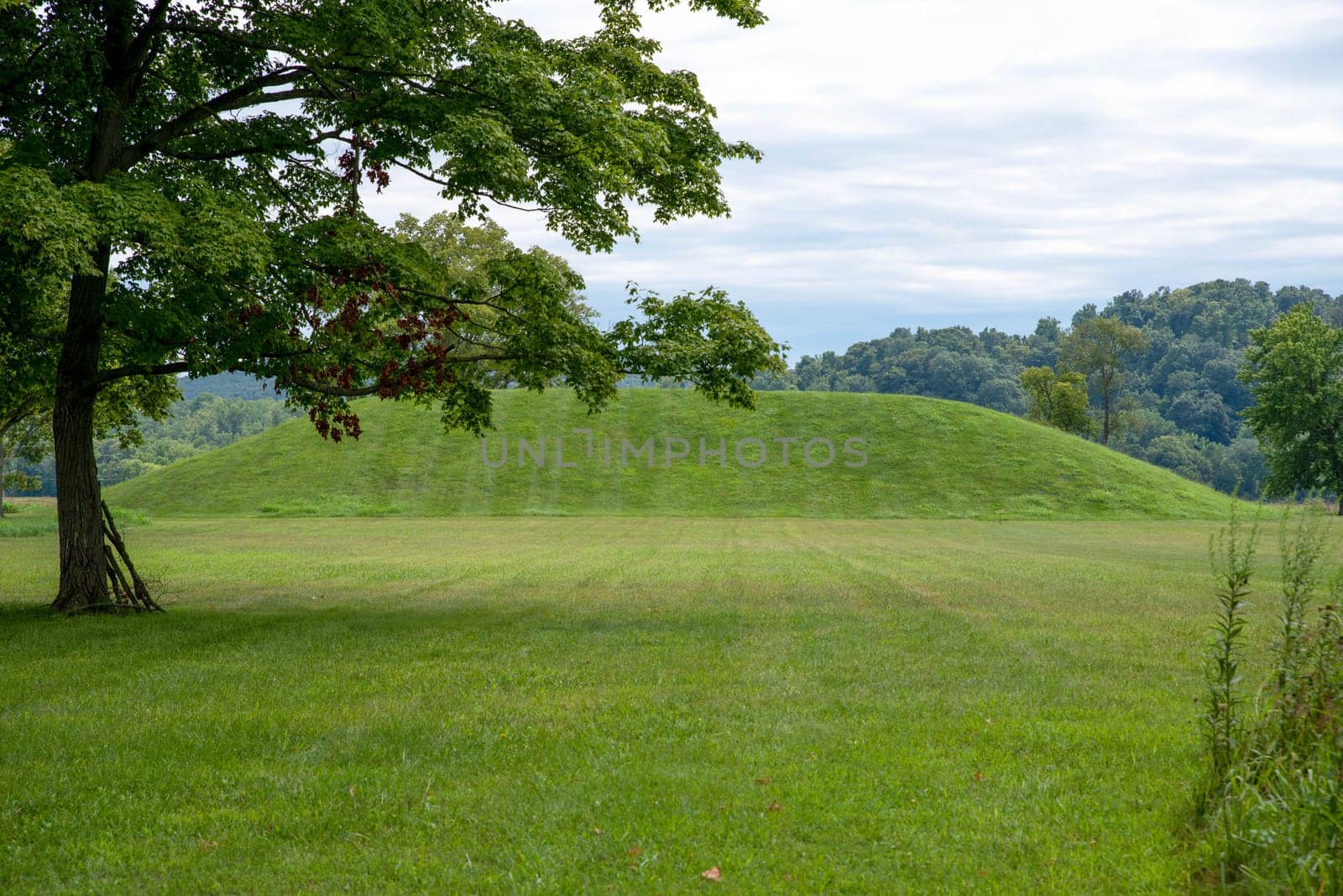 Grass covered prehistoric native American Hopewell culture burial mound at Seip Earthworks in Ohio under a dramatic cloudy sky with neatly cut green grass foreground and tree with green foliage and sticks leaning against the trunk. Woodland background. No people, with copy space.