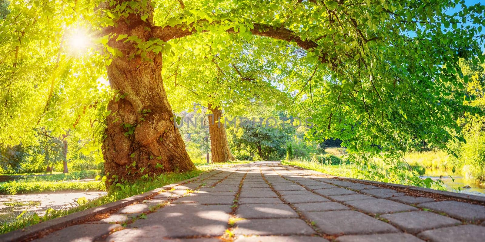 Perspective view of the stone footpath in public park. Beautiful background of the urban parkland.