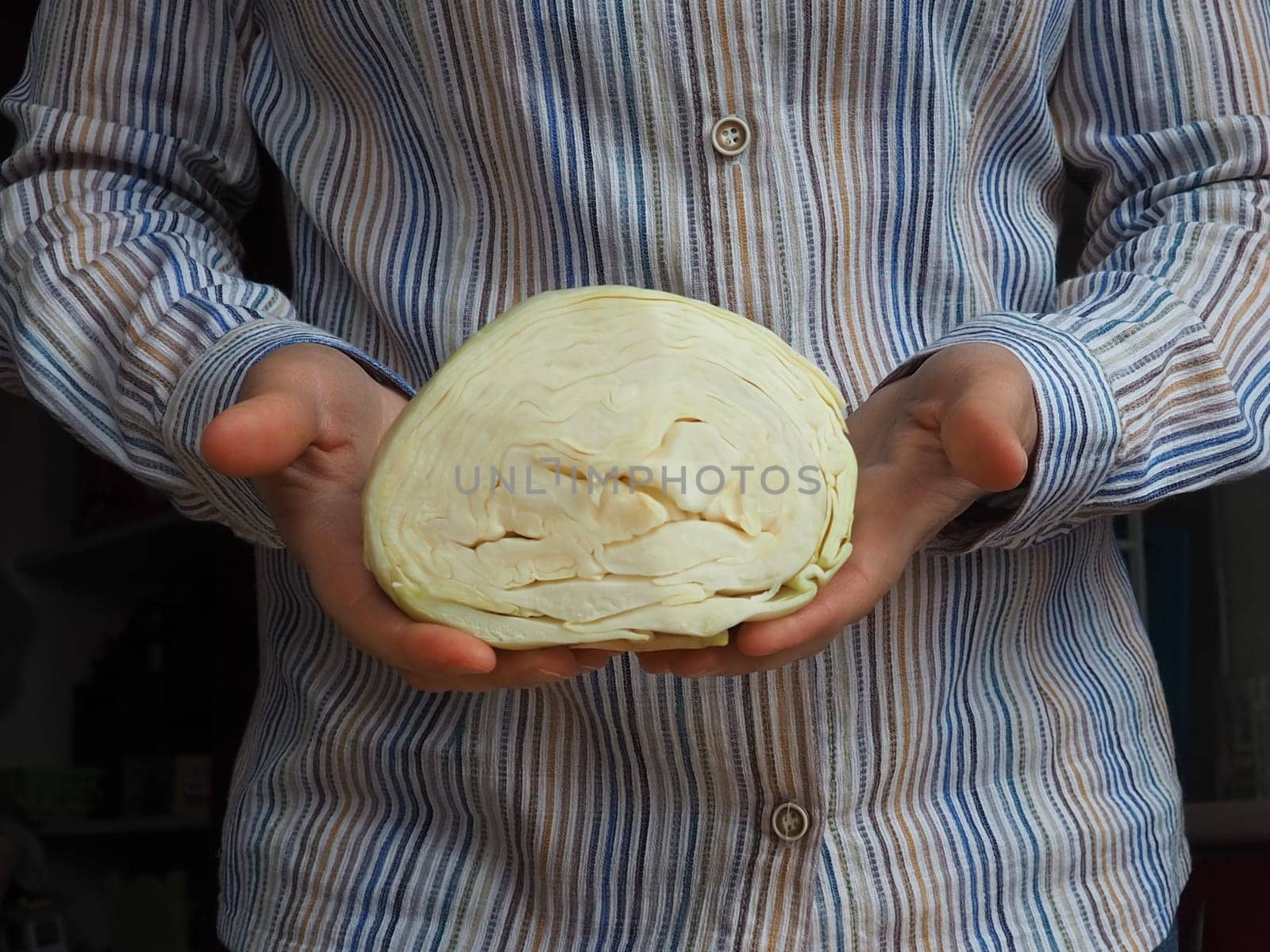 White cabbage in the hands. A woman in a white shirt with stripes holds a swing of cabbage in her hands and offers it to the viewer. Fresh cabbage harvest. Diet vegetarian food. Green vegetable salad.