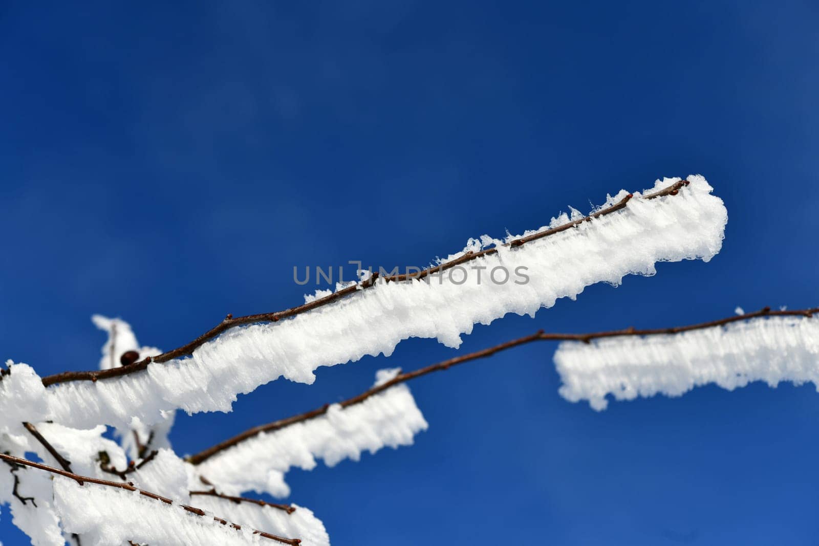 beautiful winter landscape in sunny weather