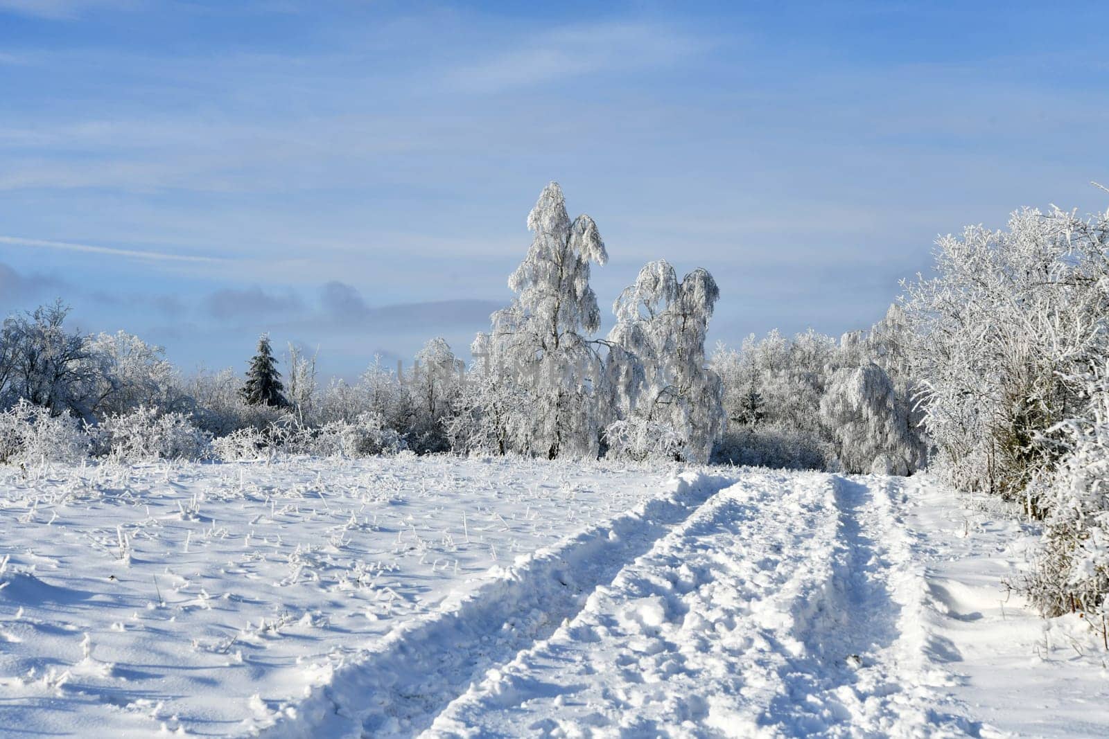 beautiful winter landscape in sunny weather