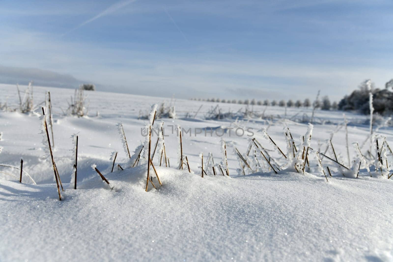 beautiful winter landscape in sunny weather