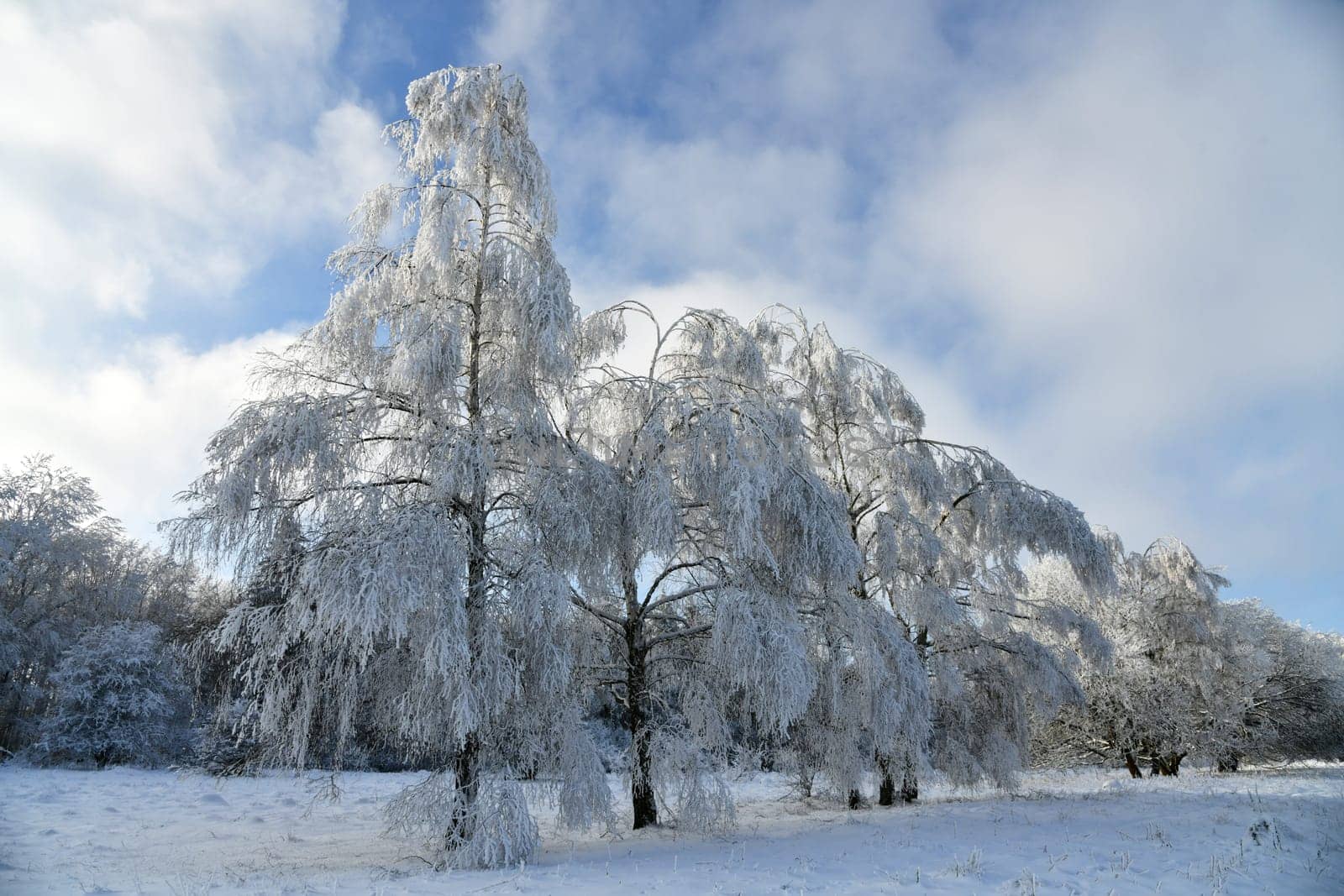 beautiful winter landscape in sunny weather