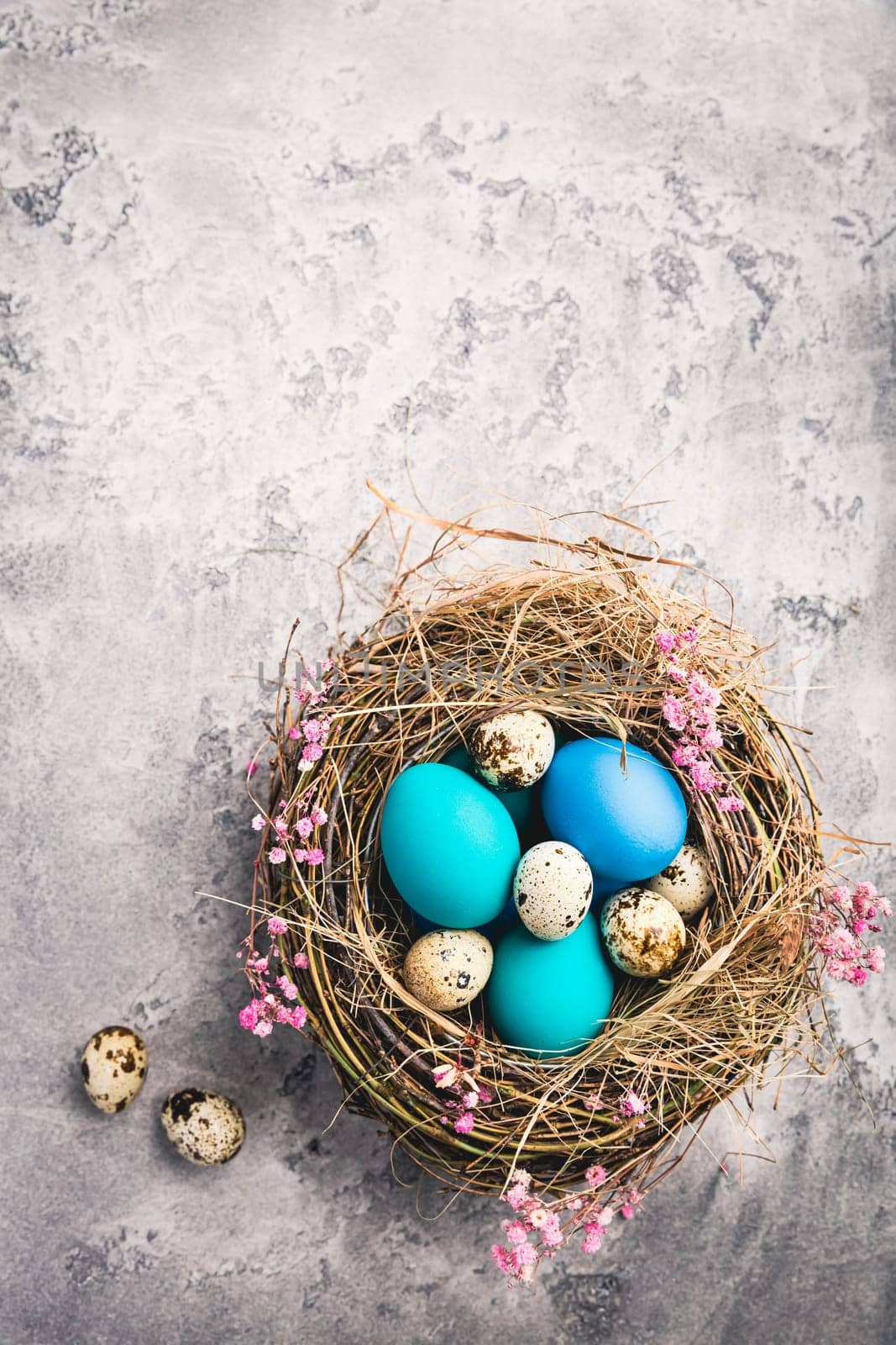 Happy Easter - nest with Easter eggs on grey background with copy space
