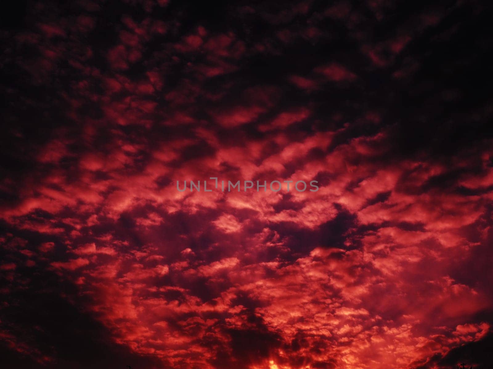 Red purple pink sunset sky cloud. Dramatic sunset sky. Wonderful sunset. Clouds in the evening sky. The sun's rays pierce the clouds. Beautiful landscape. The sun goes down.