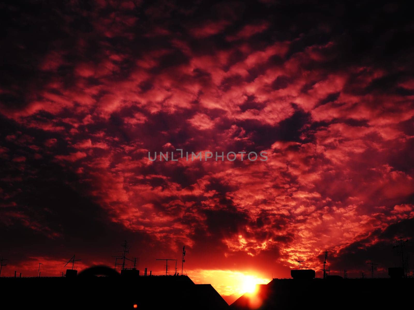 Red purple pink sunset sky cloud. Dramatic sunset sky. Wonderful sunset. Clouds in the evening sky. The sun's rays pierce the clouds. Beautiful landscape. The sun goes down.