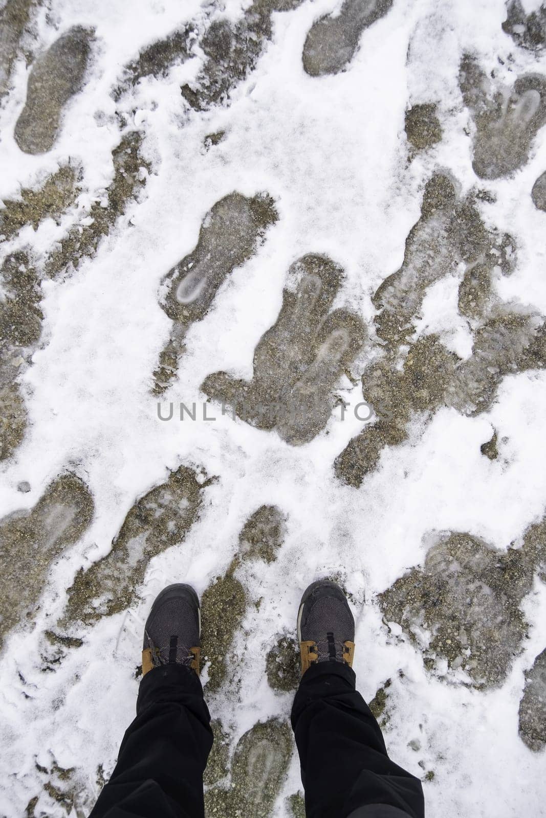 Detail of a walk through nature on a cold winter day, snow and ice