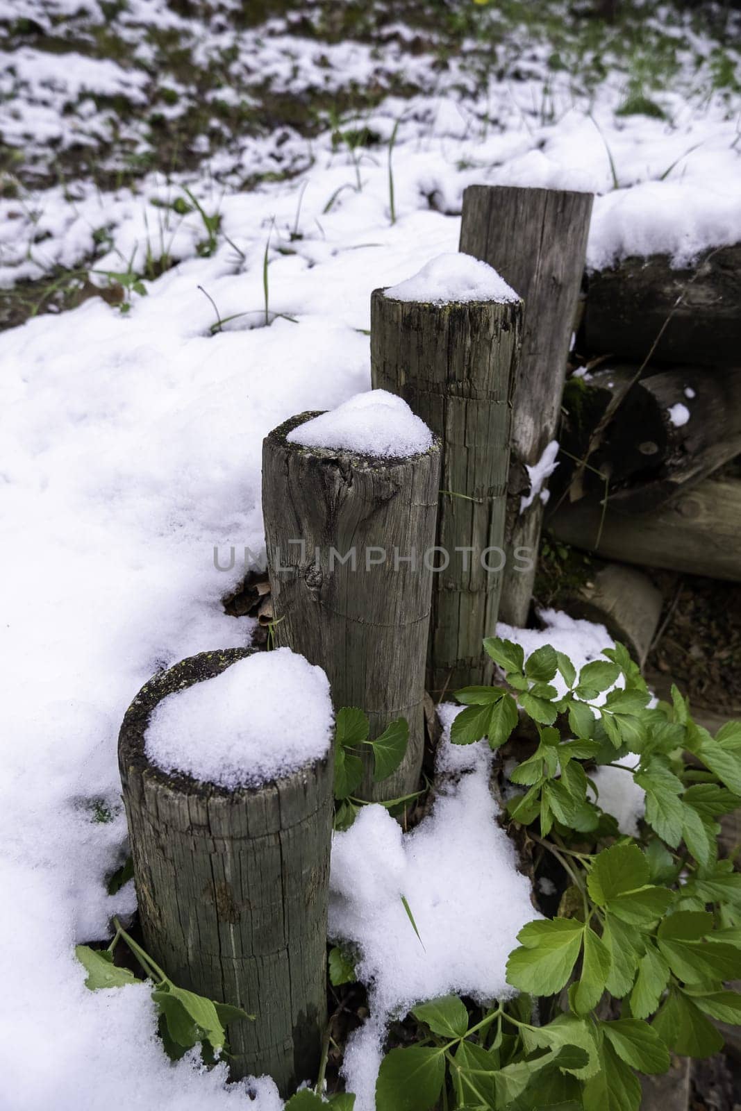 Detail of wood outside on a cold winter day, ice and snow