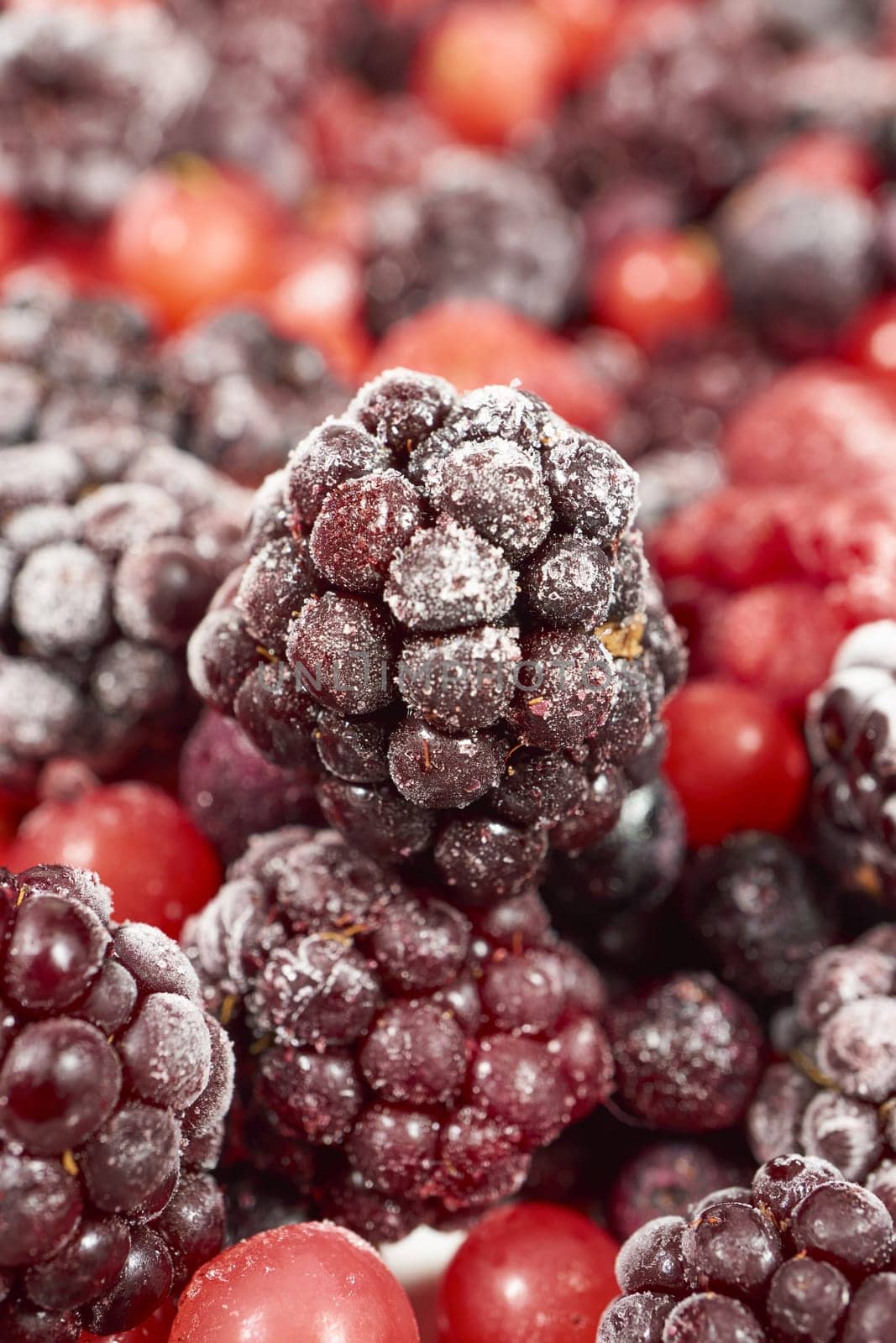 Close-up frozen berry fruits