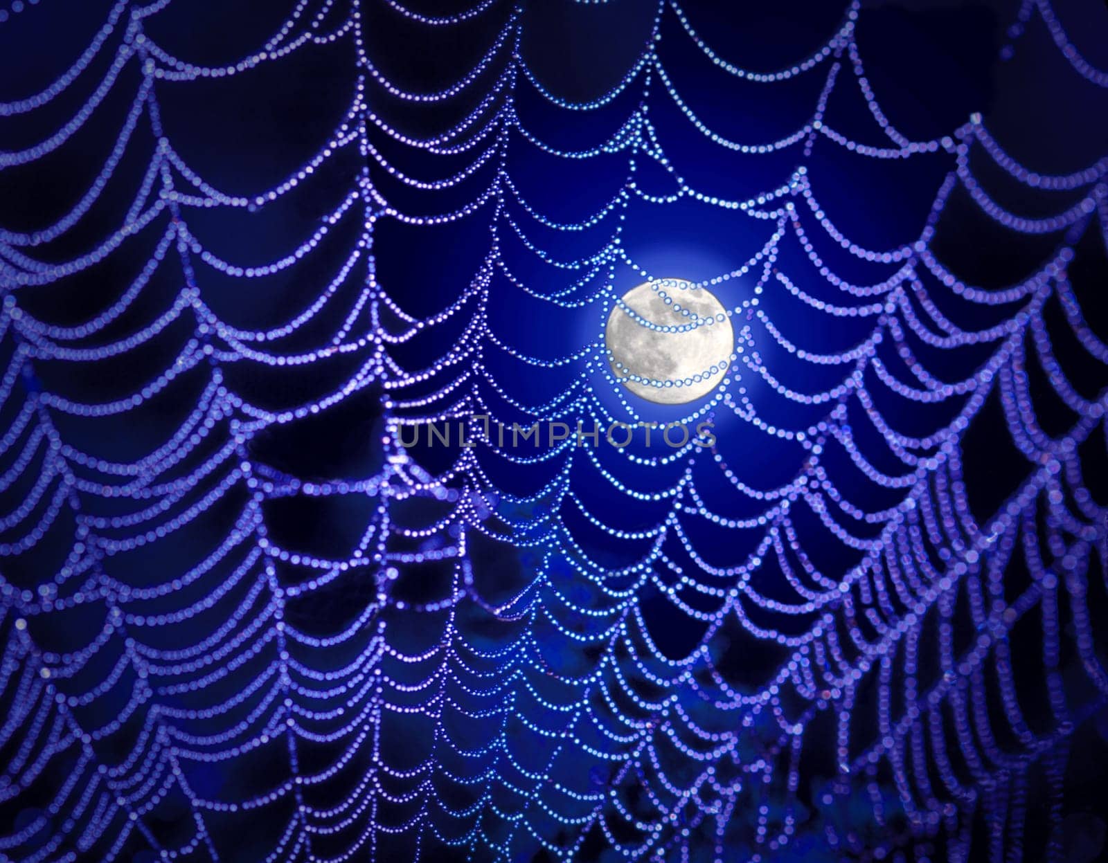 Photo Illustration of the moon and spider web.