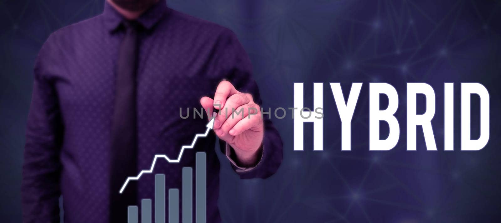 Text showing inspiration Hybrid, Business overview offspring of two plants or animals of different species or varieties