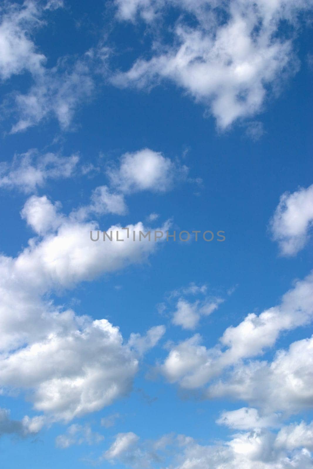 Cumulus clouds.