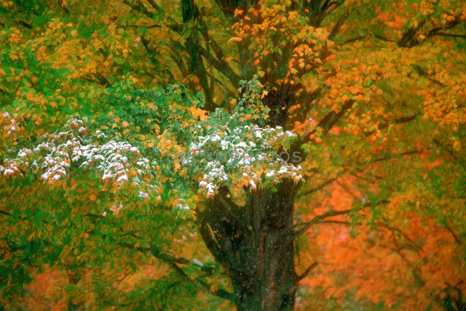 Fall and Winter South Burlington, VT.