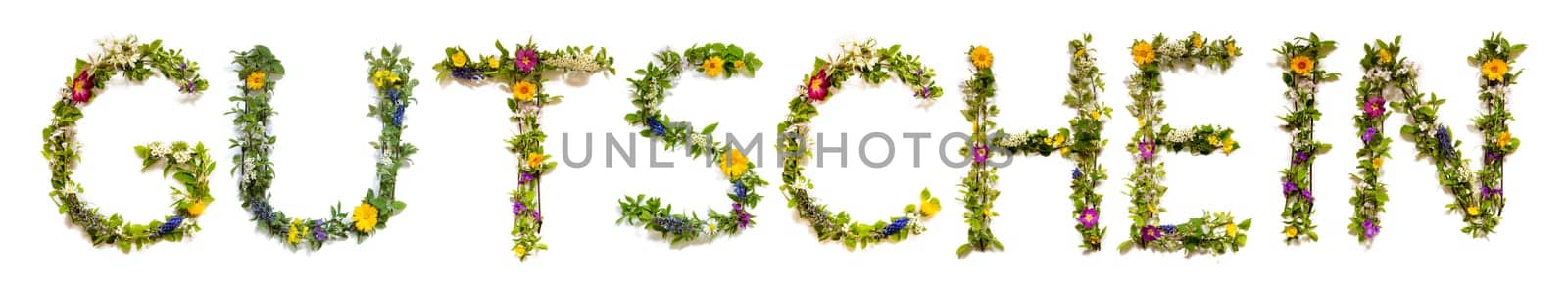 Blooming Flower Letters Building German Word Gutschein Means Voucher. Colorful Spring and Summer Blossoms. White Isolated Background.