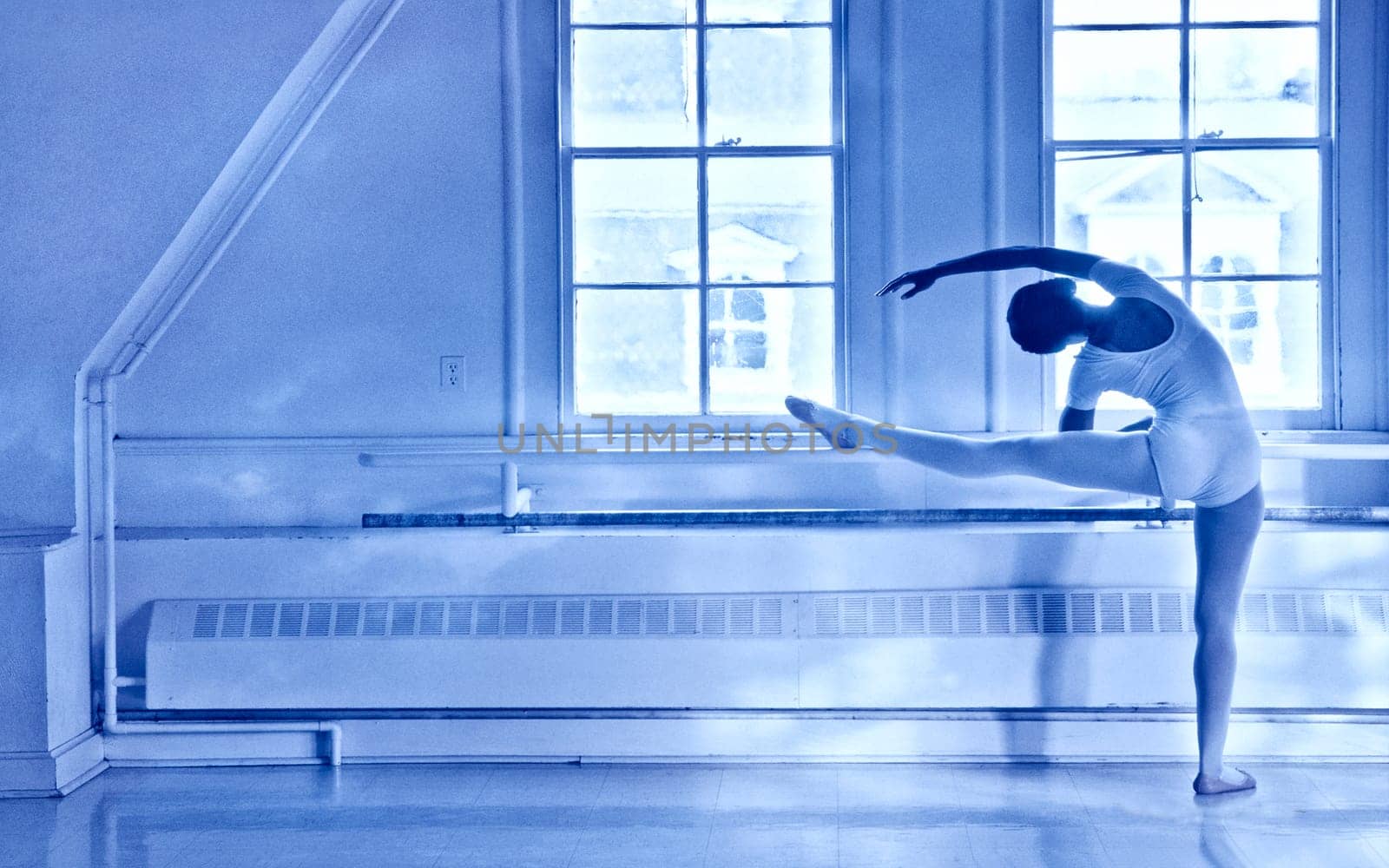 Ballet student at Cornell University.