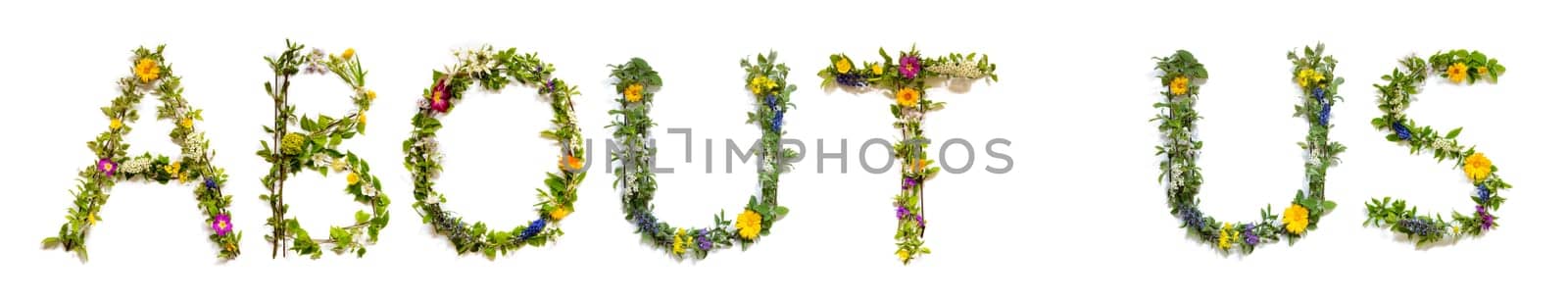 Blooming Flower Letters Building English Word About Us. Colorful Spring and Summer Blossoms. White Isolated Background.