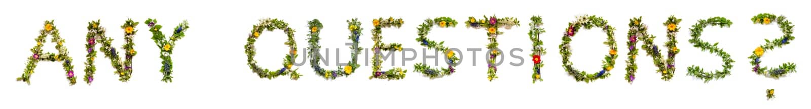 Blooming Flower Letters Building English Word Any Questions. Colorful Spring and Summer Blossoms. White Isolated Background.