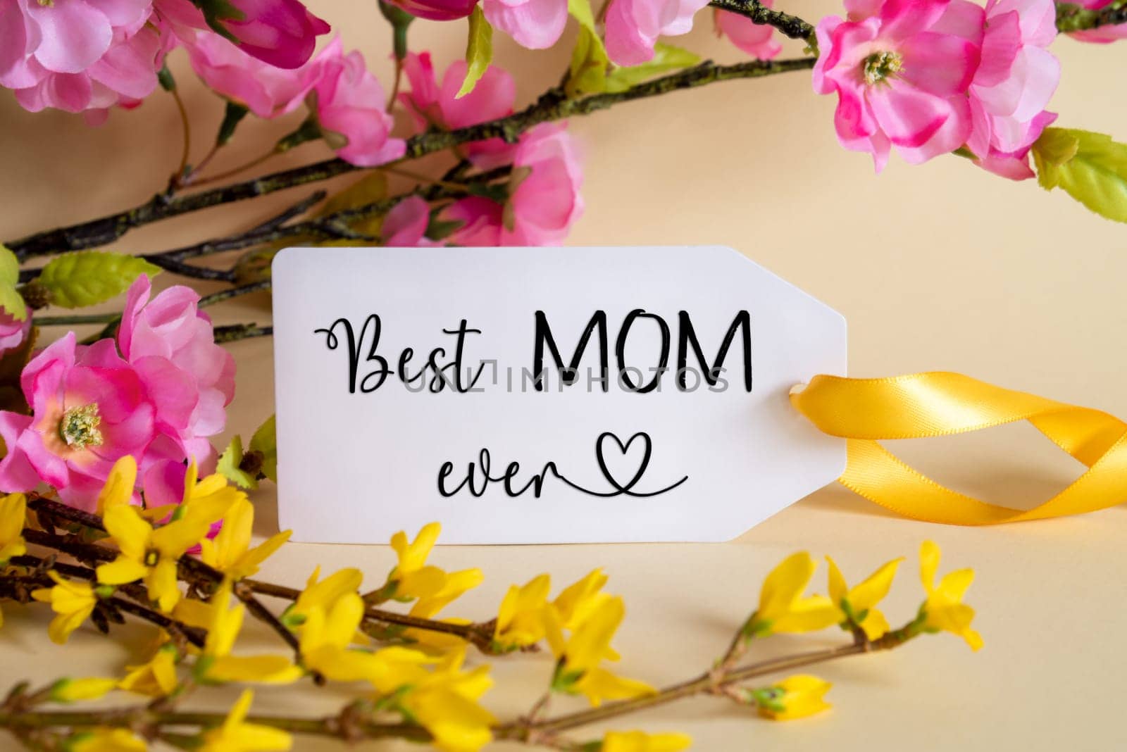 Spring Flower Arrangement With White Label With English Text Best Mom Ever. Colorful Flower Branch Decoration With Yellow And Purple Blossoms.