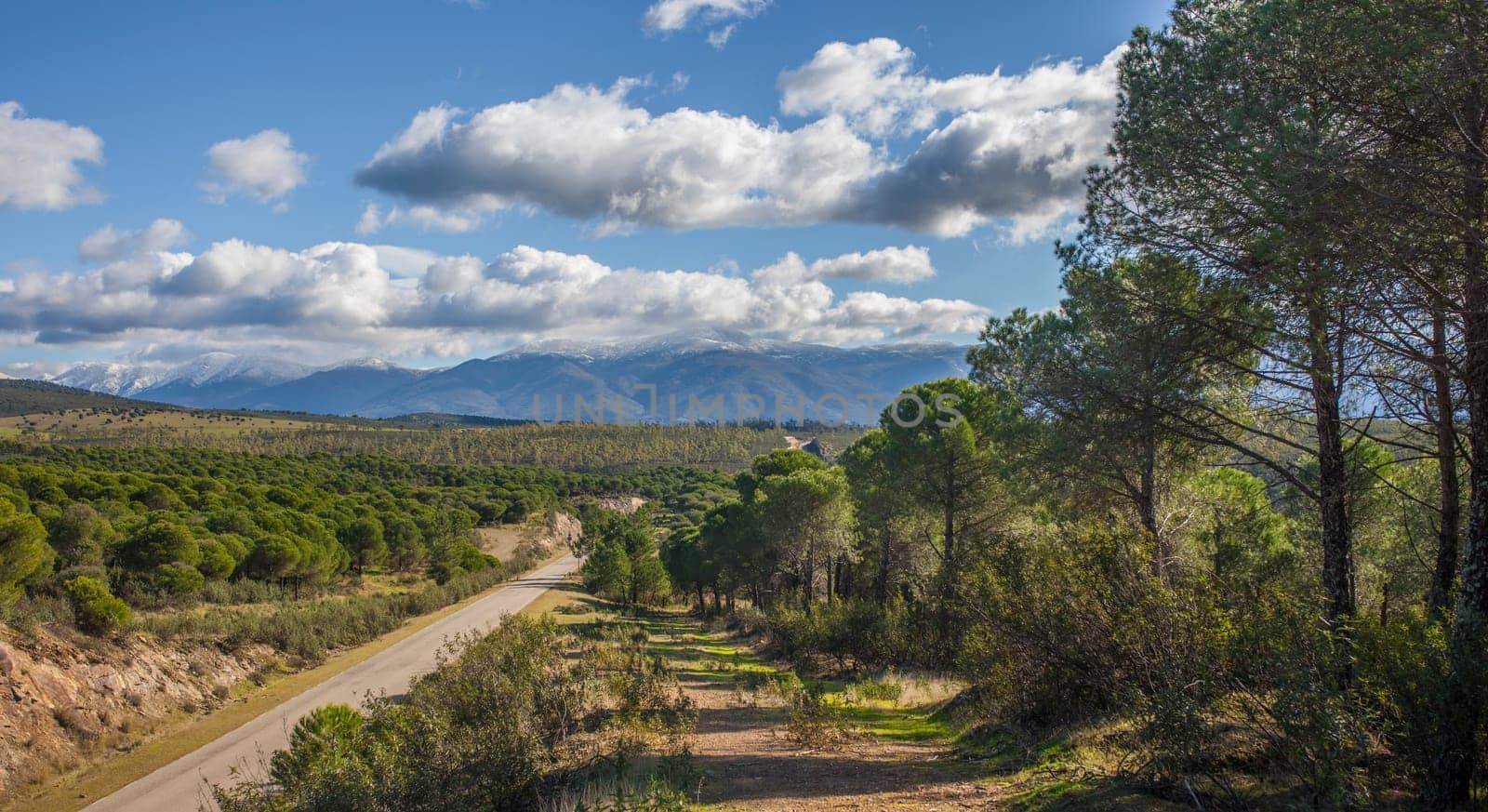 Local Road CC-168 at Granadilla outskirts, Spain. High scenic value road
