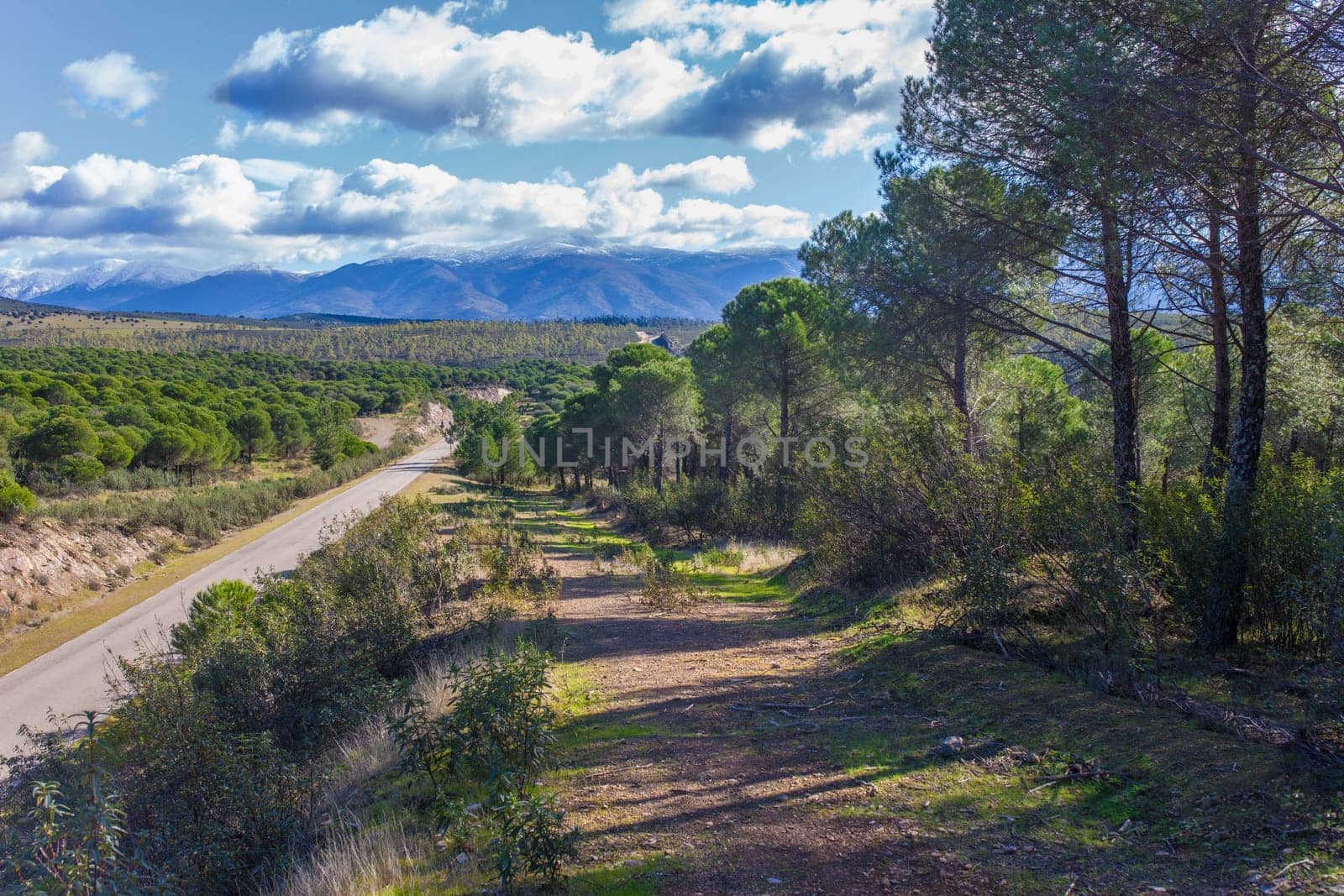 Local Road CC-168 at Granadilla outskirts, Spain. High scenic value road