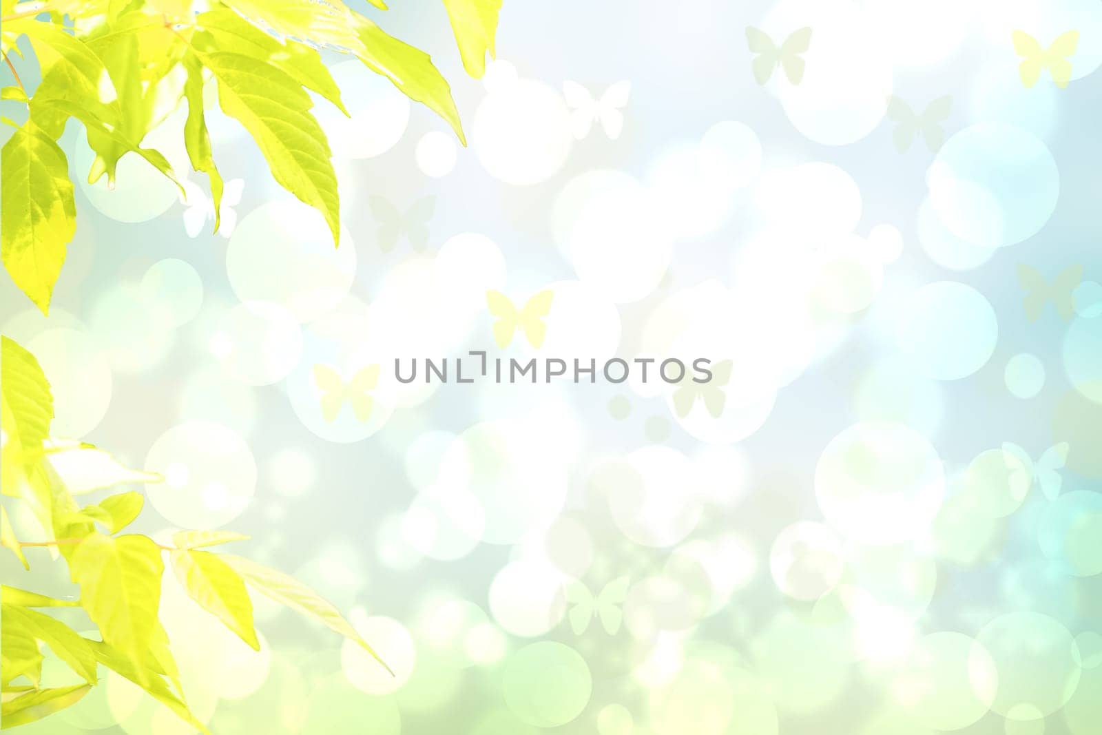 Hello spring background. Yellow maple in spring over abstract bright spring or summer landscape texture with butterflies. Space for sale offer. Beautiful backdrop.