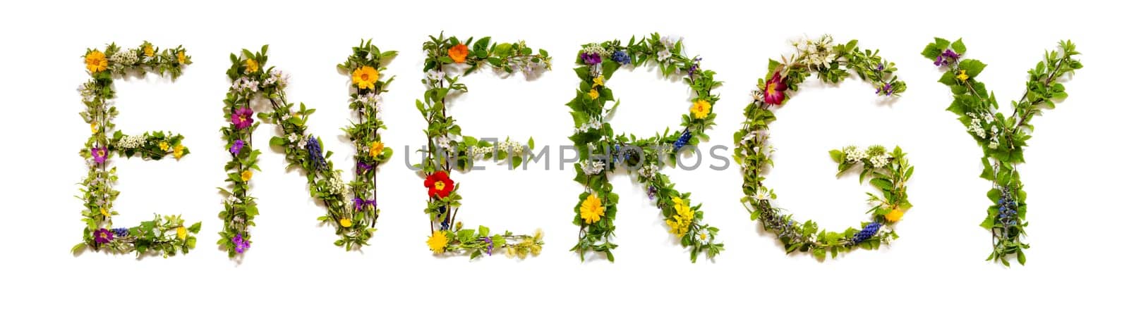 Blooming Flower Letters Building English Word Energy. Summer And Spring Season Blossoms And Flower Lei.