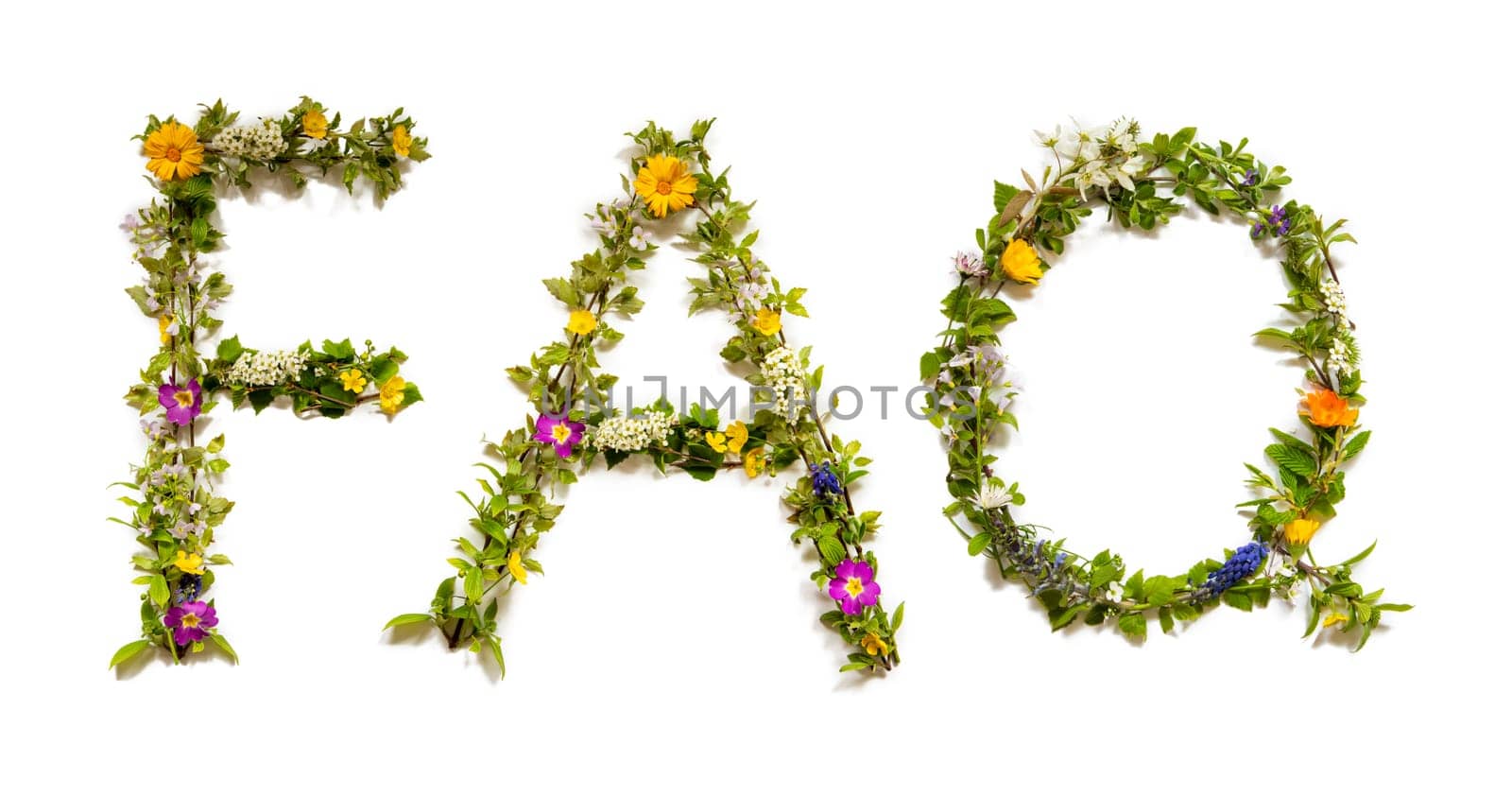 Blooming Flower Letters Building English Word FAQ. Colorful Spring and Summer Blossoms. White Isolated Background.