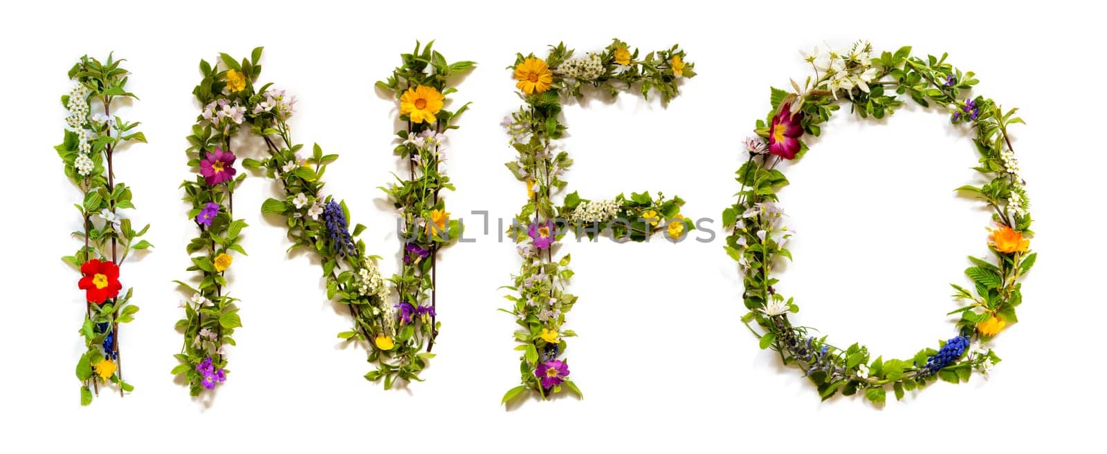 Blooming Flower Letters Building English Word Info. Colorful Spring and Summer Blossoms. White Isolated Background.