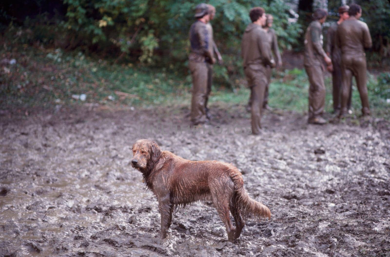 Mud Fight by robophoto