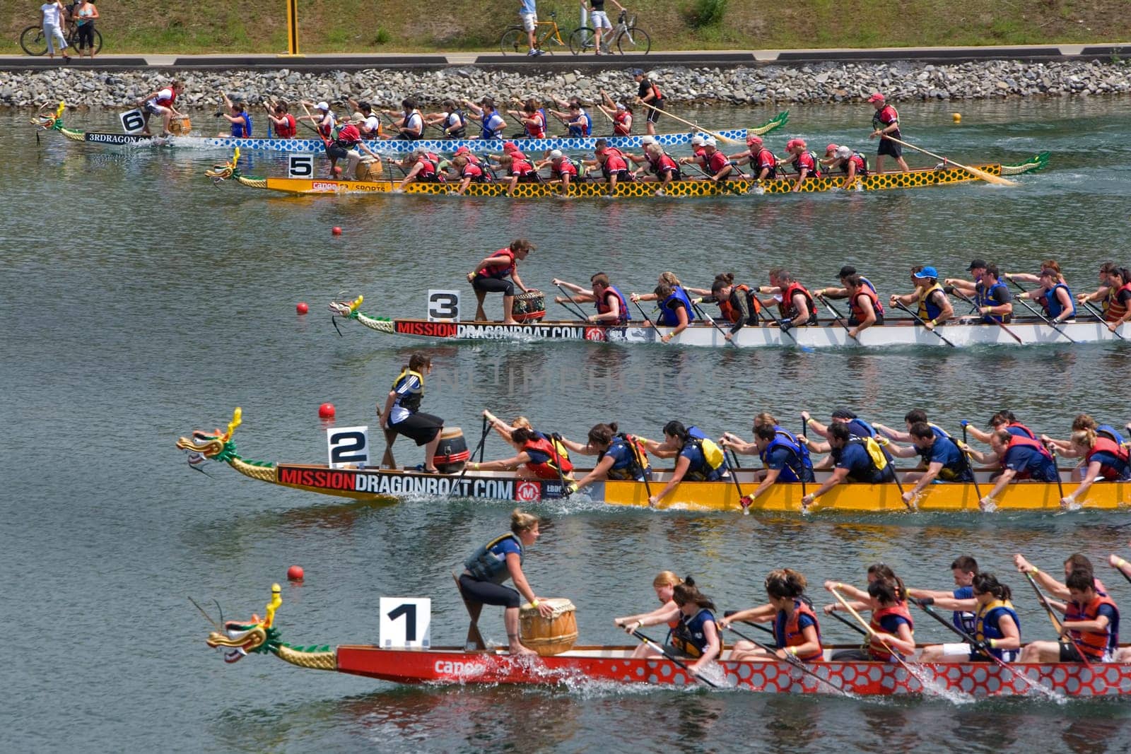 Dragon Boat Races in Montreal Canada..