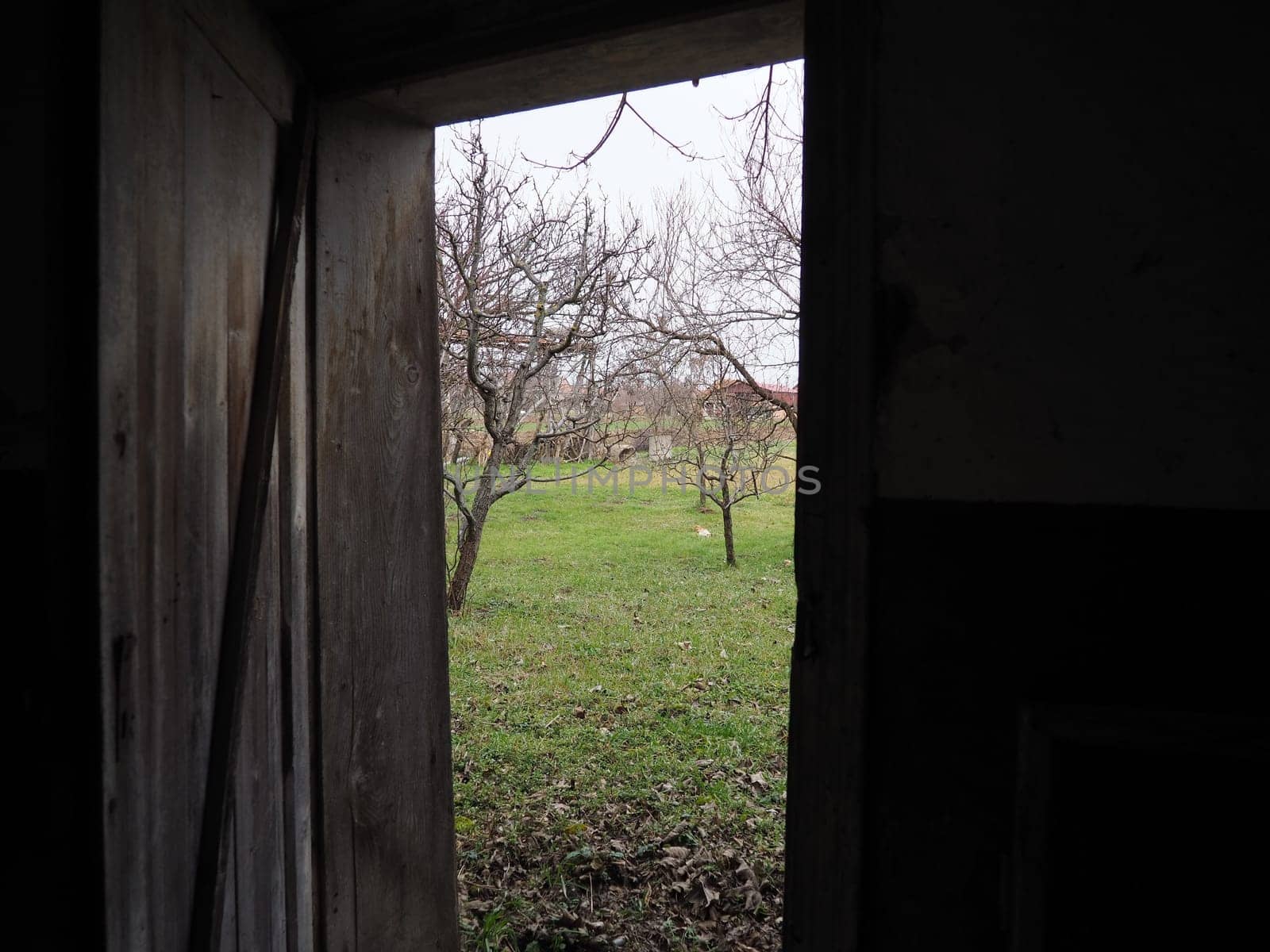 old wooden open door. Crib doors, stall for livestock or garage. Wooden beams and doorway. Spring greens from the door. Doorway to the unknown.