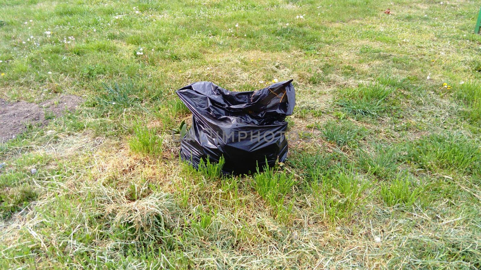Black garbage bag on grass field. A black garbage bag on the grass for cleaning up the yard or for a cleanup.
