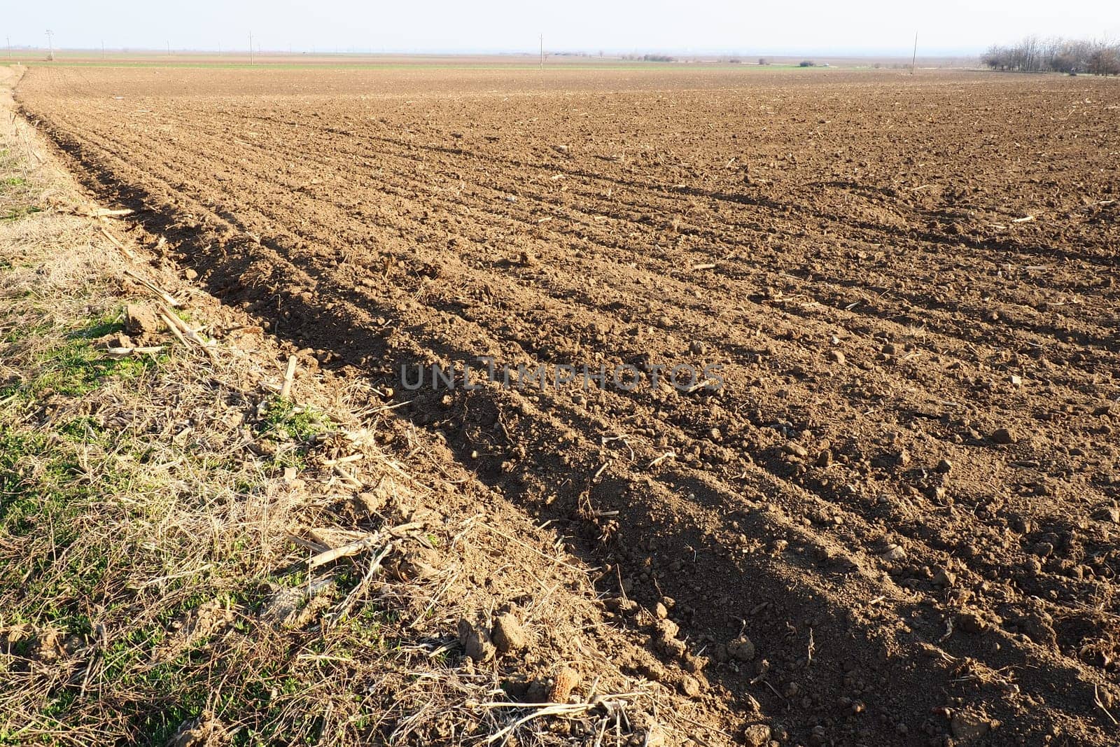 Arable field ready for spring agricultural work. Furrows from the passage of a tractor or combine. Cornmeal on the ground. Fertile soil for planting. Fertilizers are the key to a good harvest