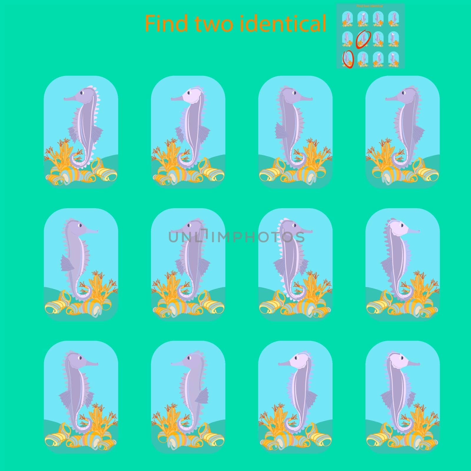 find two identical seahorses in a rebus for children under 6 years old