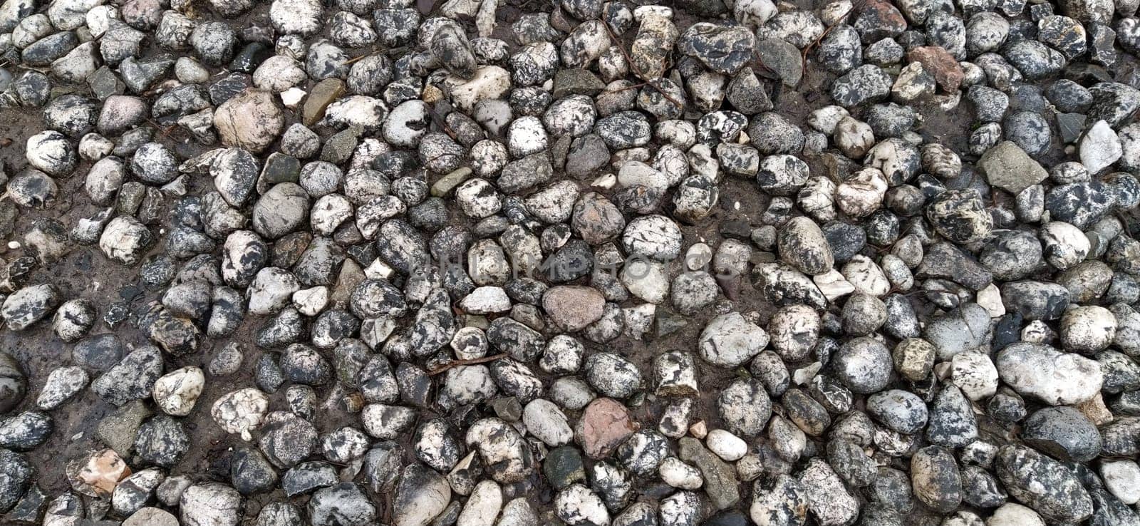 Paving stones made of round light stones similar to marble. Paved square in the old town of Sarajevo, Bosnia and Herzegovina. Beautiful wet shiny stones after rain. Close-up in natural daylight.