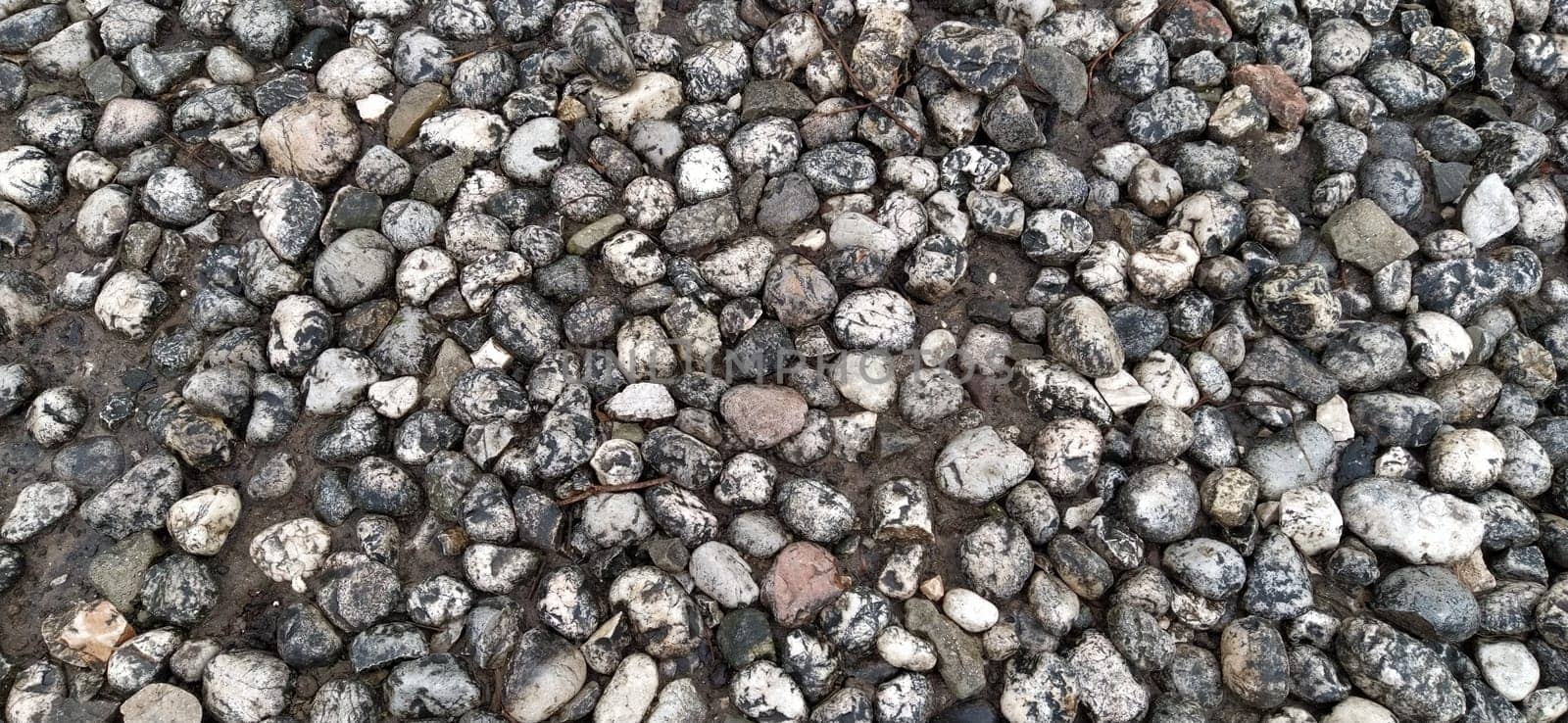 Paving stones made of round light stones similar to marble. Paved square in the old town of Sarajevo, Bosnia and Herzegovina. Beautiful wet shiny stones after rain. Close-up in natural daylight.
