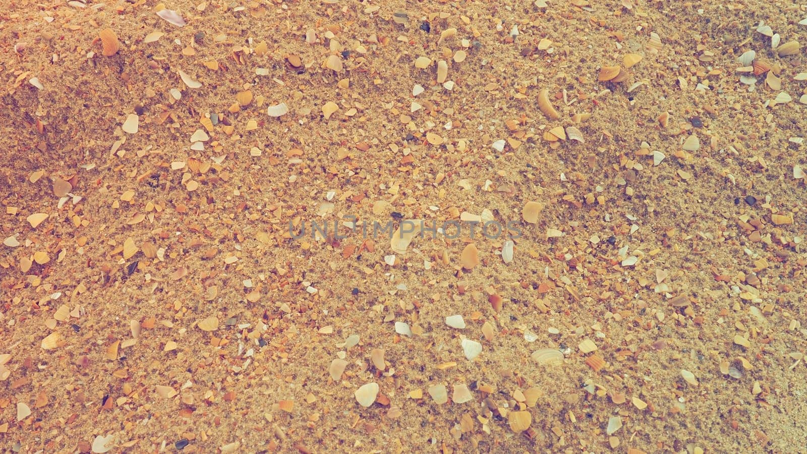 Sand with seashells background. Wet coarse quartz sand. Broken seashells. Beach after heavy rain. Silica. Crushed quartz sand, natural brown material after a storm. Dents from drops in the sand. Anapa