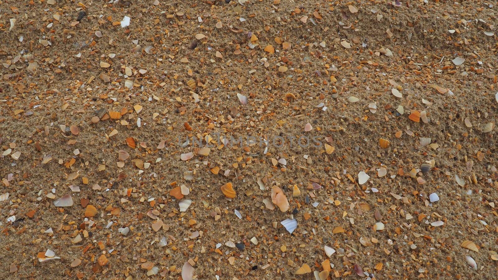 Sand with seashells background. Wet coarse quartz sand. Broken seashells. Beach after heavy rain. Silica. Crushed quartz sand, natural brown material after a storm. Dents from drops in the sand. Anapa