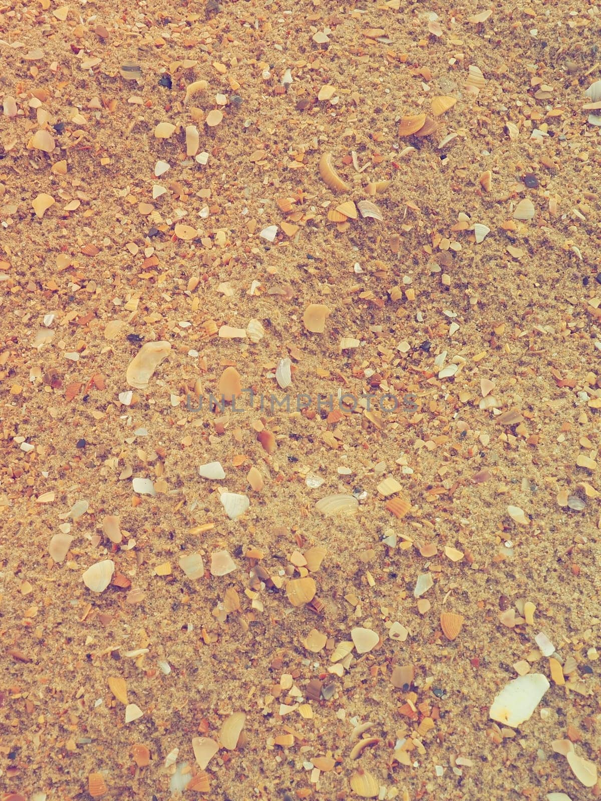 Sand with seashells background. Wet coarse quartz sand. Broken seashells. Beach after heavy rain. Silica. Crushed quartz sand, natural brown material after a storm. Dents from drops in the sand. Anapa.